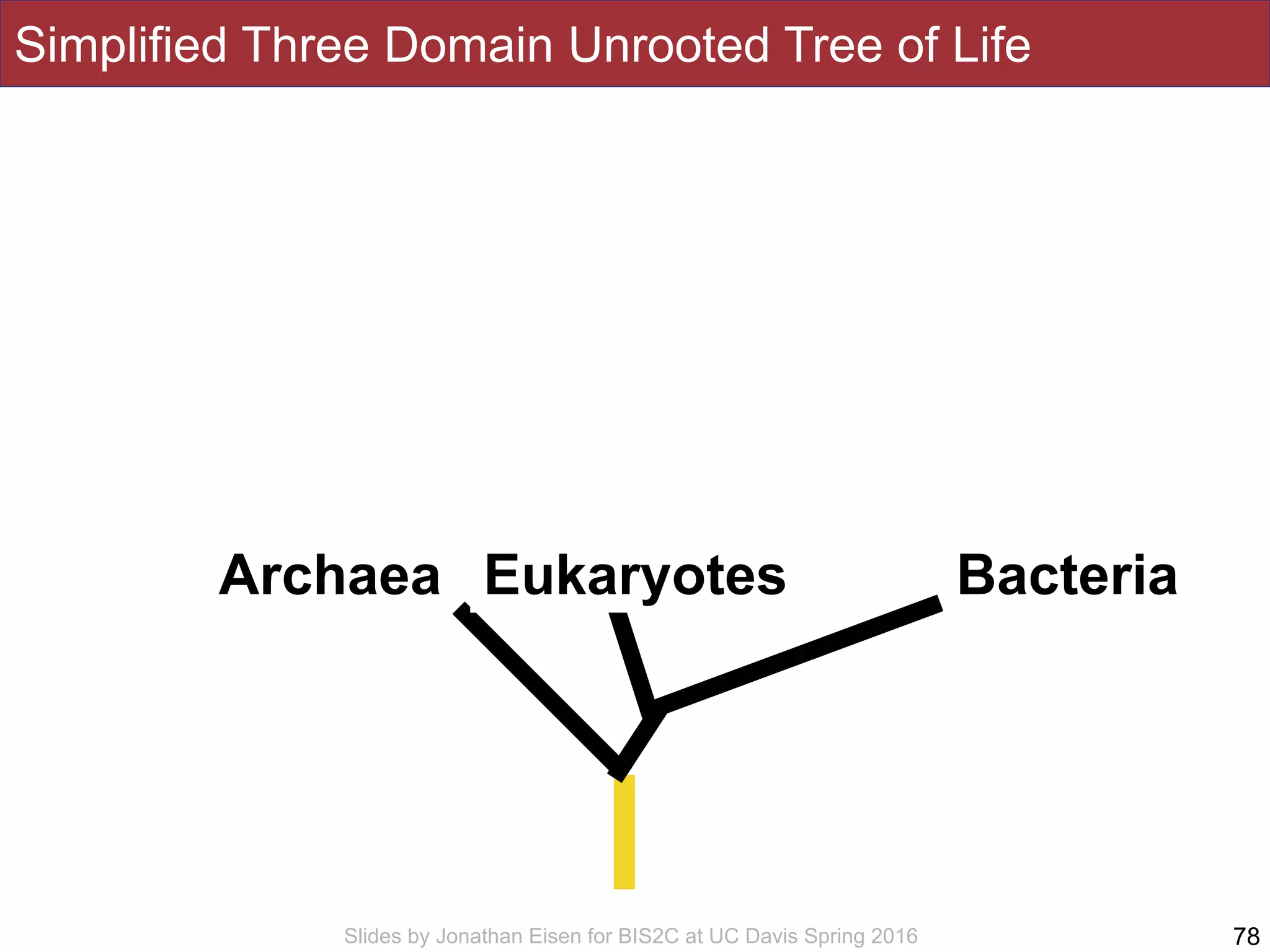 Slides by Jonathan Eisen for BIS2C at UC Davis Spring 2016
Simplified Three Domain Unrooted Tree of Life
78
Archaea BacteriaEukaryotes
 
