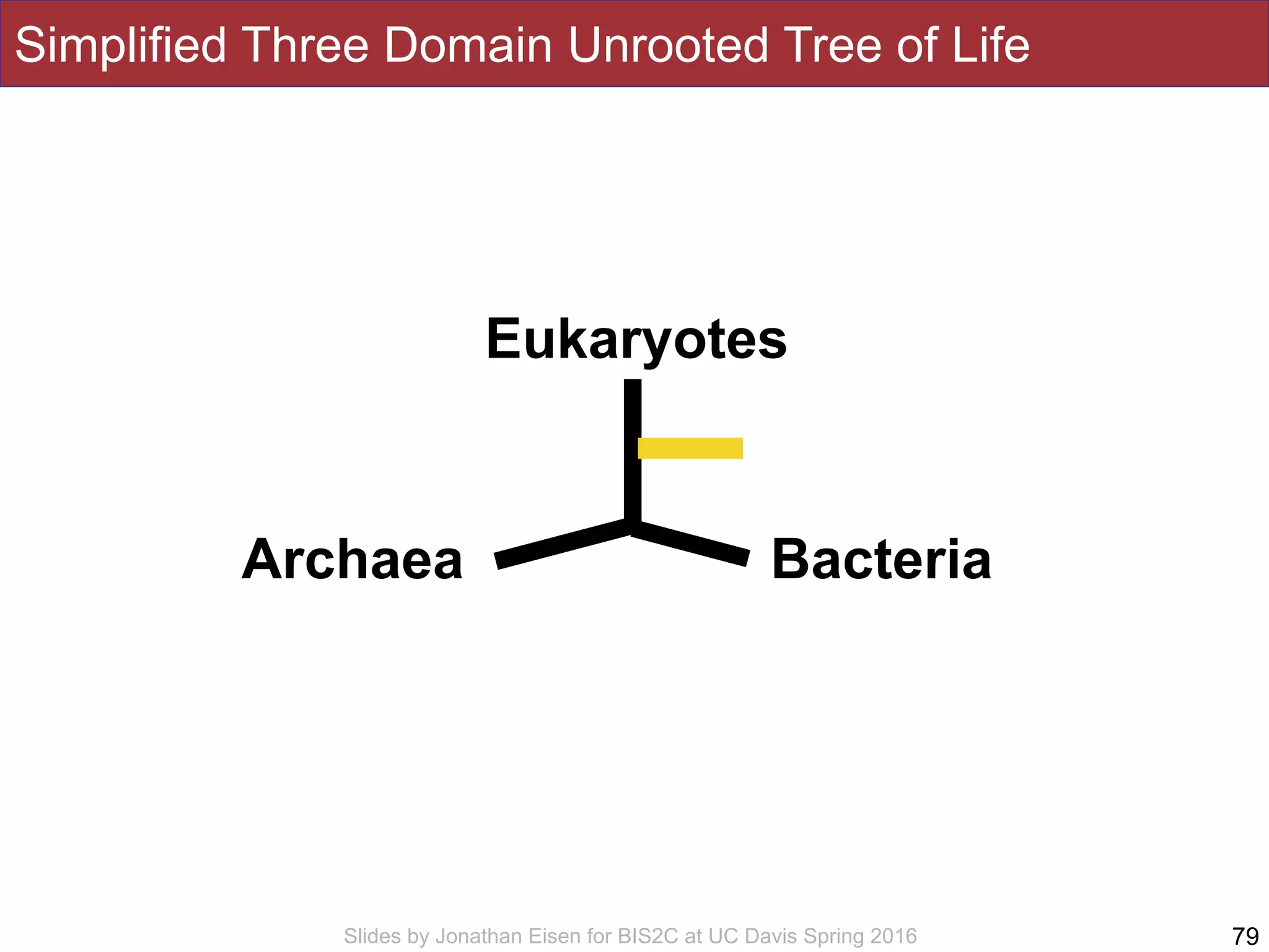 Slides by Jonathan Eisen for BIS2C at UC Davis Spring 2016
Simplified Three Domain Unrooted Tree of Life
79
Eukaryotes
Archaea Bacteria
 