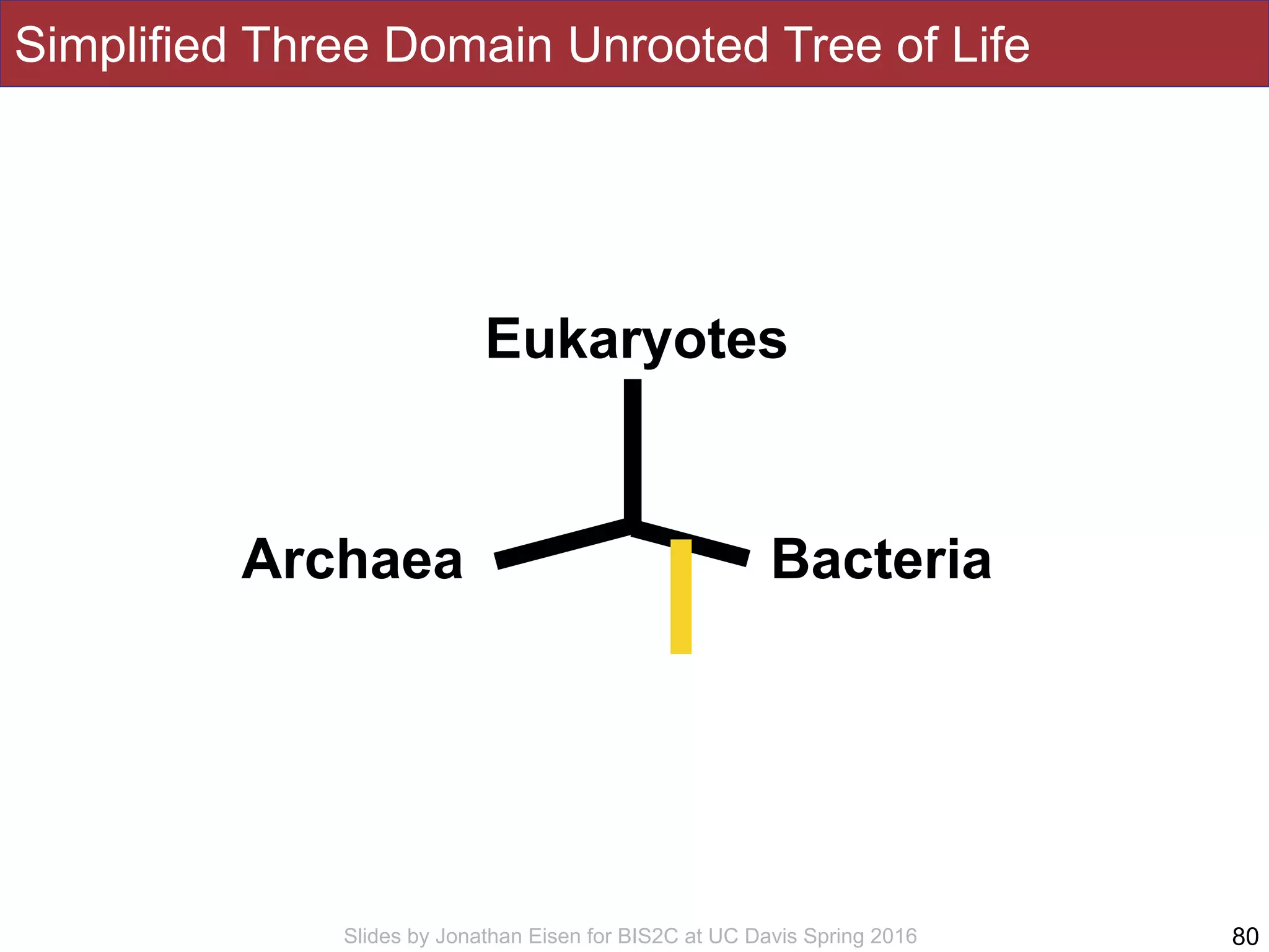 Slides by Jonathan Eisen for BIS2C at UC Davis Spring 2016
Simplified Three Domain Unrooted Tree of Life
80
Eukaryotes
Archaea Bacteria
 