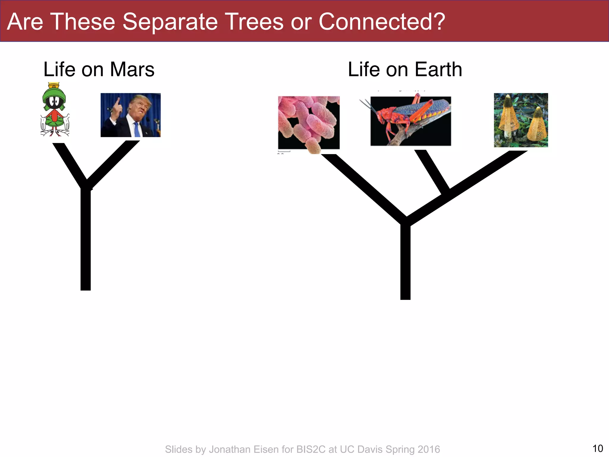 Slides by Jonathan Eisen for BIS2C at UC Davis Spring 2016
Are These Separate Trees or Connected?
10
Life on EarthLife on Mars
 