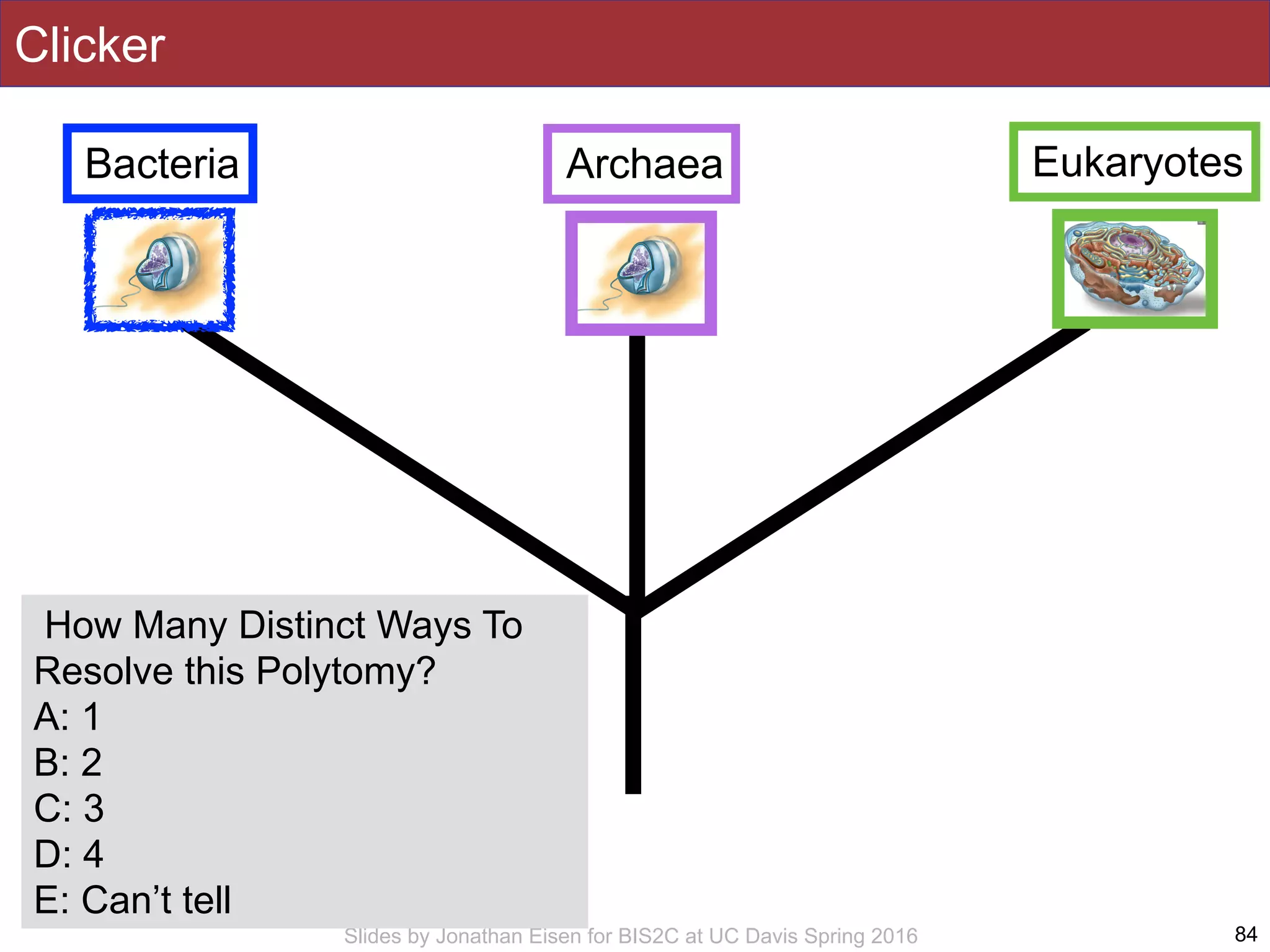Slides by Jonathan Eisen for BIS2C at UC Davis Spring 2016
Clicker
84
How Many Distinct Ways To
Resolve this Polytomy?
A: 1
B: 2
C: 3
D: 4
E: Can’t tell
Bacteria EukaryotesArchaea
 