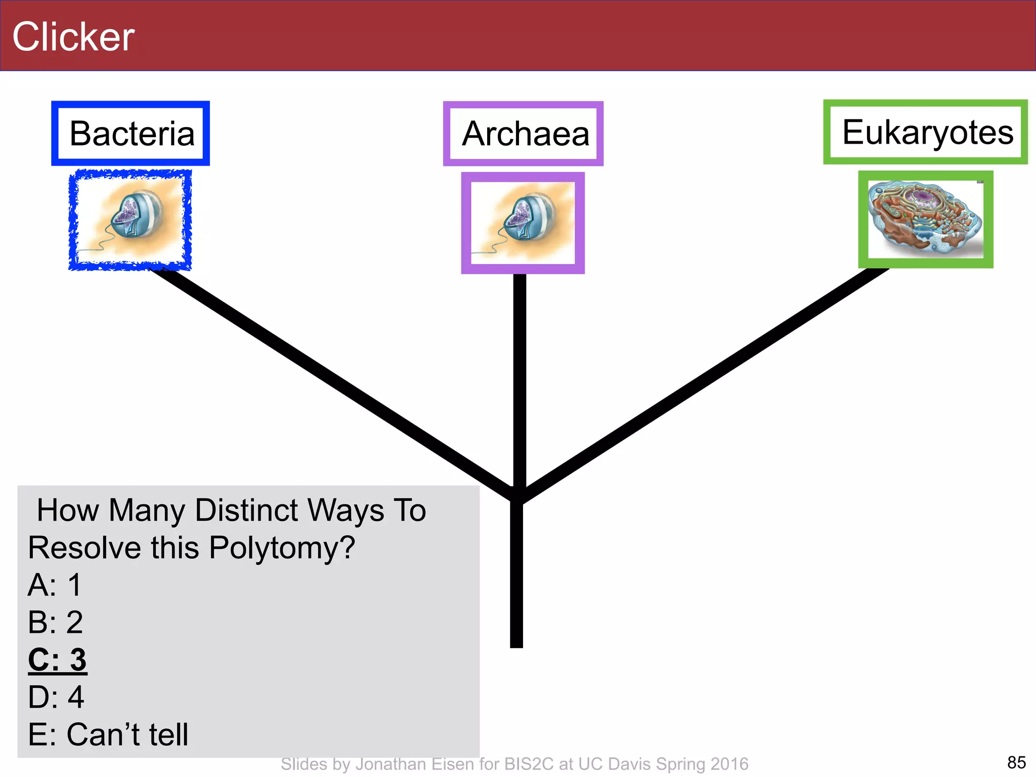 Slides by Jonathan Eisen for BIS2C at UC Davis Spring 2016
Clicker
85
How Many Distinct Ways To
Resolve this Polytomy?
A: 1
B: 2
C: 3
D: 4
E: Can’t tell
Bacteria Archaea Eukaryotes
 