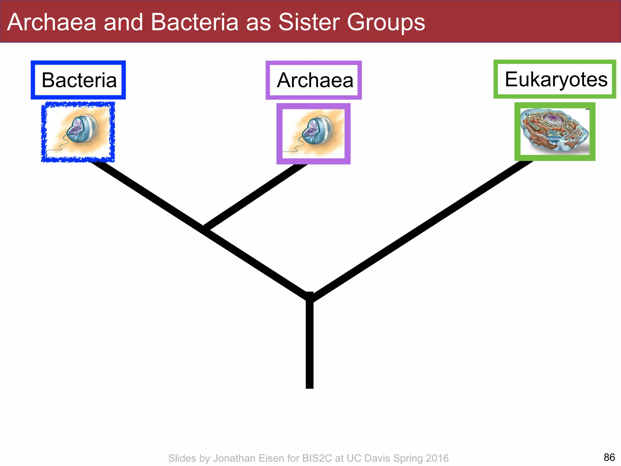 Slides by Jonathan Eisen for BIS2C at UC Davis Spring 2016 86
Bacteria Eukaryotes
Archaea and Bacteria as Sister Groups
Archaea
 