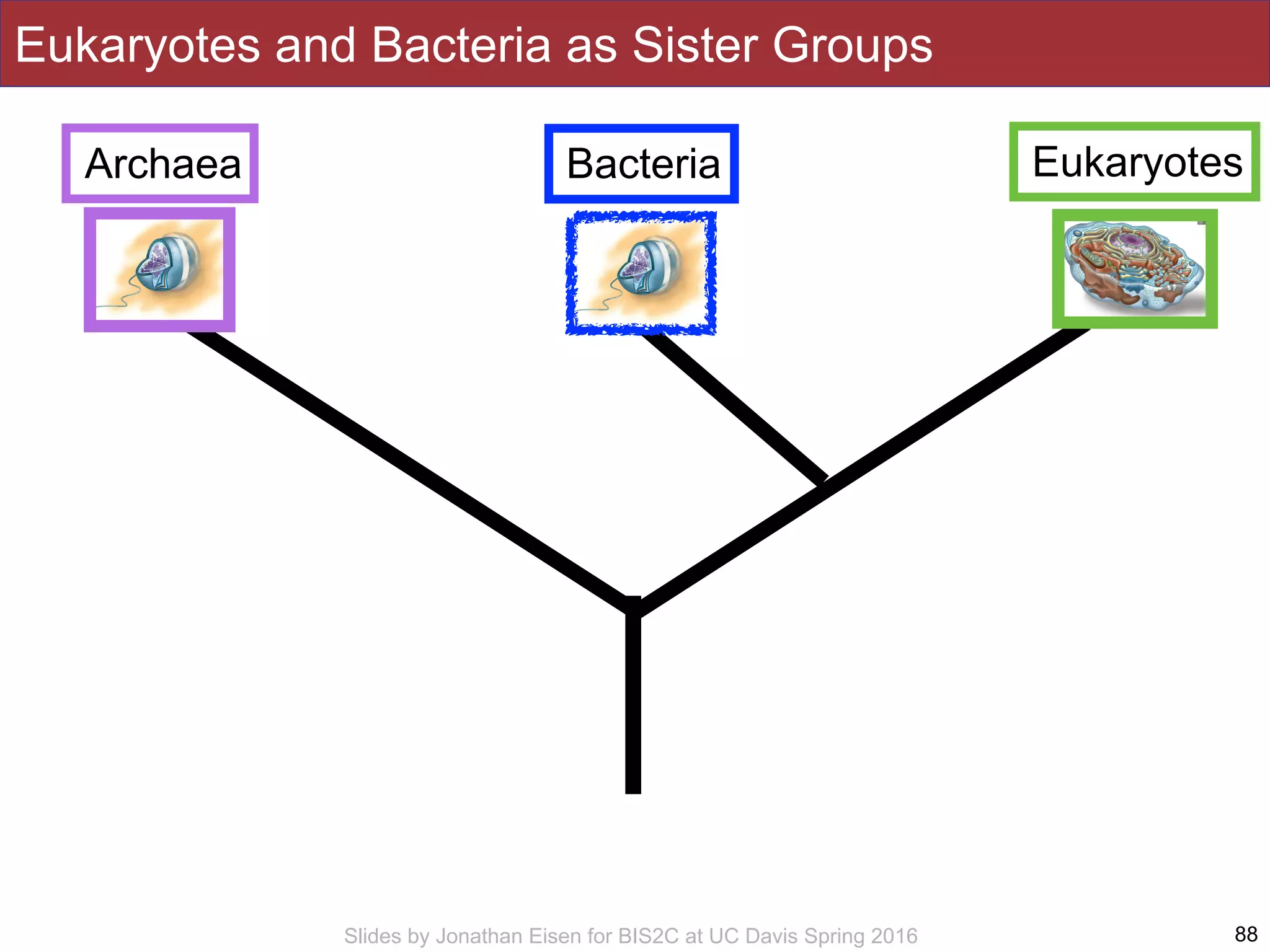 Slides by Jonathan Eisen for BIS2C at UC Davis Spring 2016 88
Bacteria
Eukaryotes and Bacteria as Sister Groups
EukaryotesArchaea
 