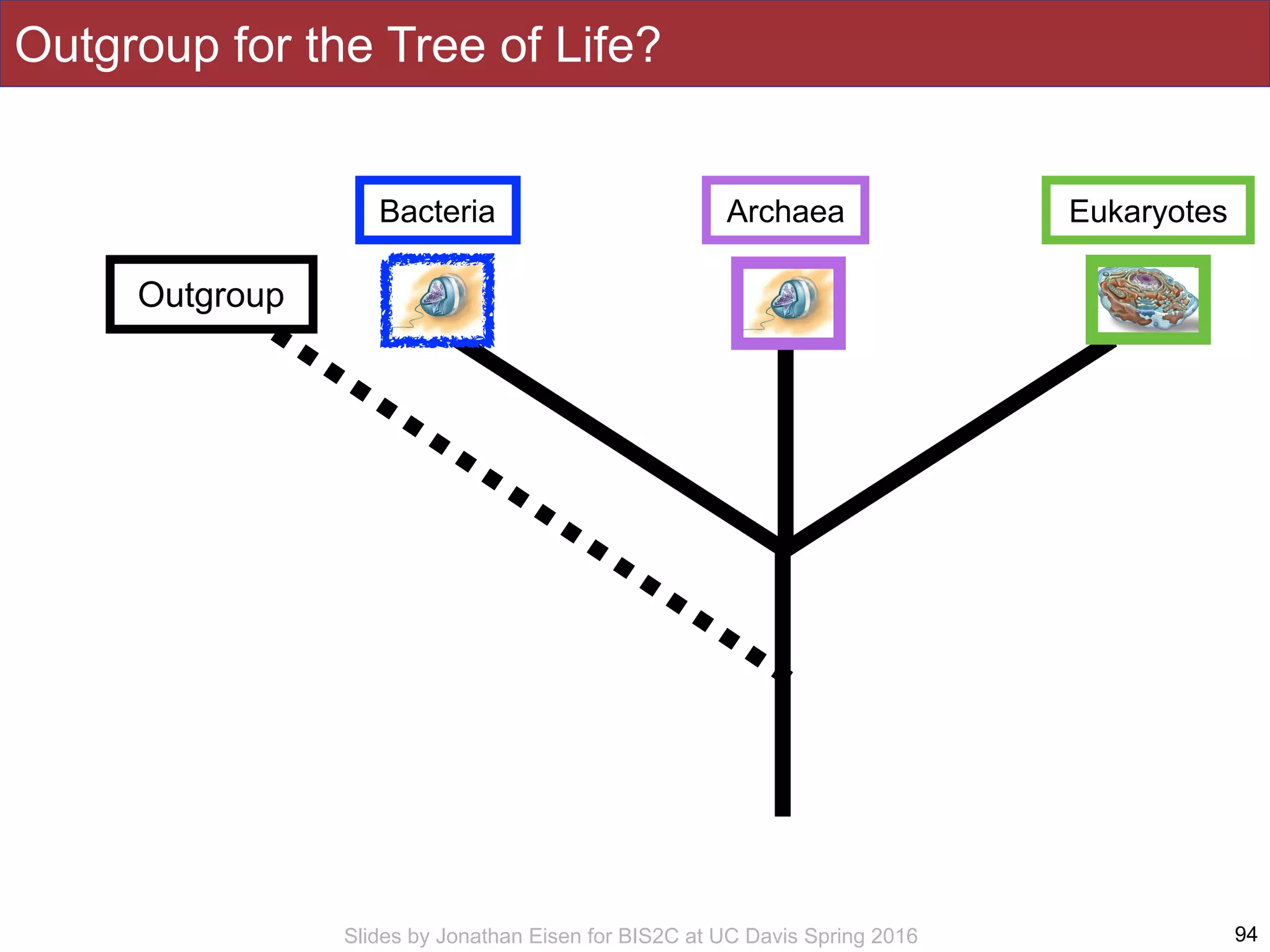 Slides by Jonathan Eisen for BIS2C at UC Davis Spring 2016 94
Outgroup
Bacteria Archaea Eukaryotes
Outgroup for the Tree of Life?
 