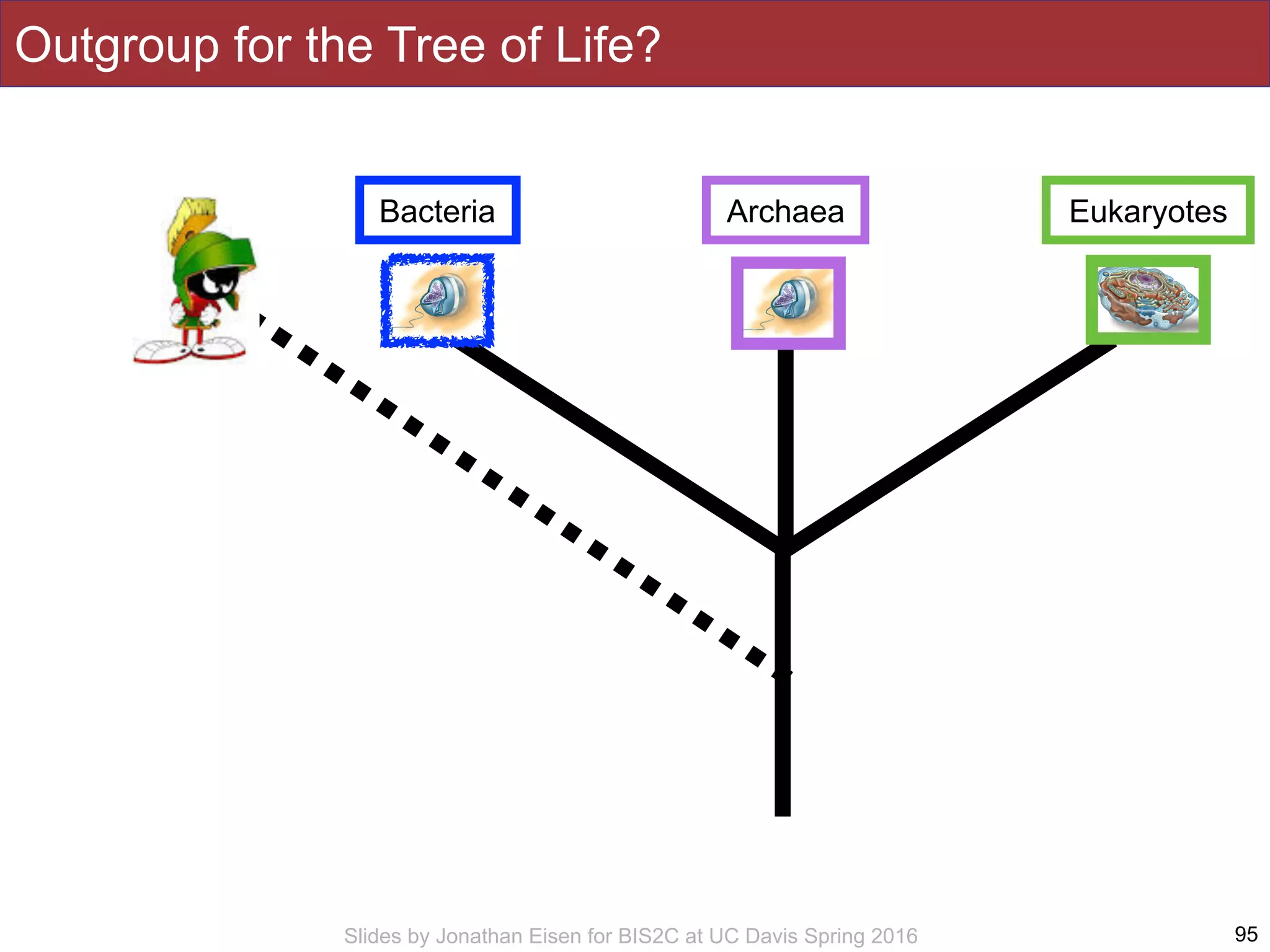 Slides by Jonathan Eisen for BIS2C at UC Davis Spring 2016 95
Bacteria Archaea Eukaryotes
Outgroup for the Tree of Life?
 
