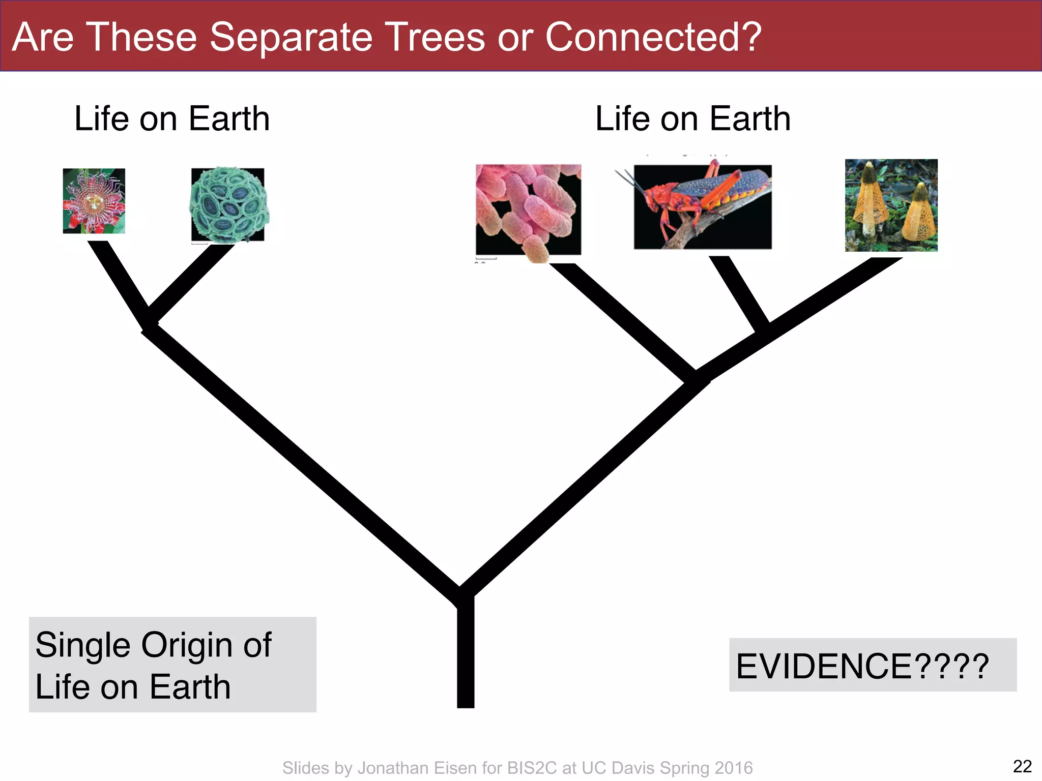 Slides by Jonathan Eisen for BIS2C at UC Davis Spring 2016
Are These Separate Trees or Connected?
22
Life on EarthLife on Earth
Single Origin of
Life on Earth
EVIDENCE????
 