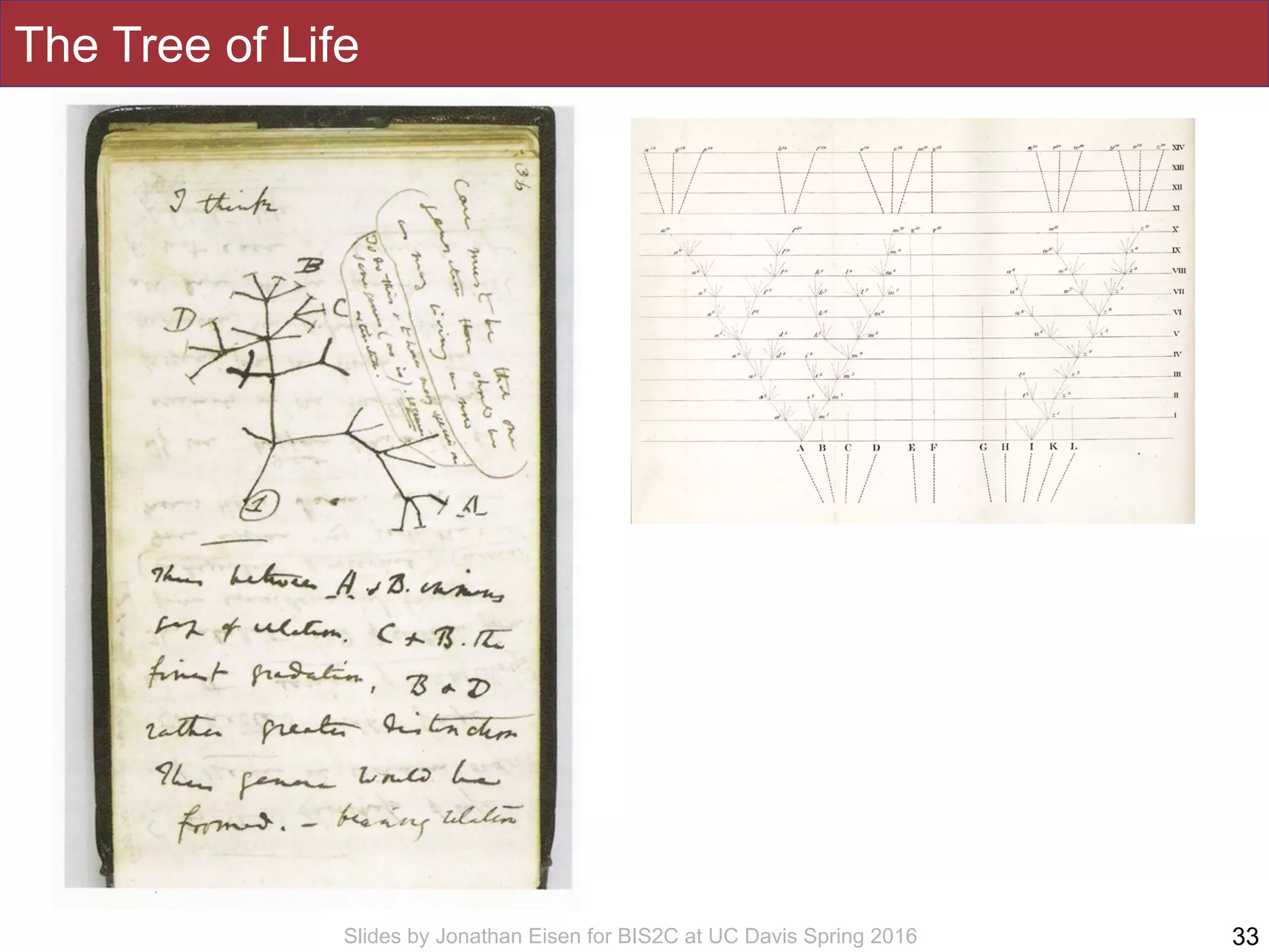 Slides by Jonathan Eisen for BIS2C at UC Davis Spring 2016
The Tree of Life
33
 