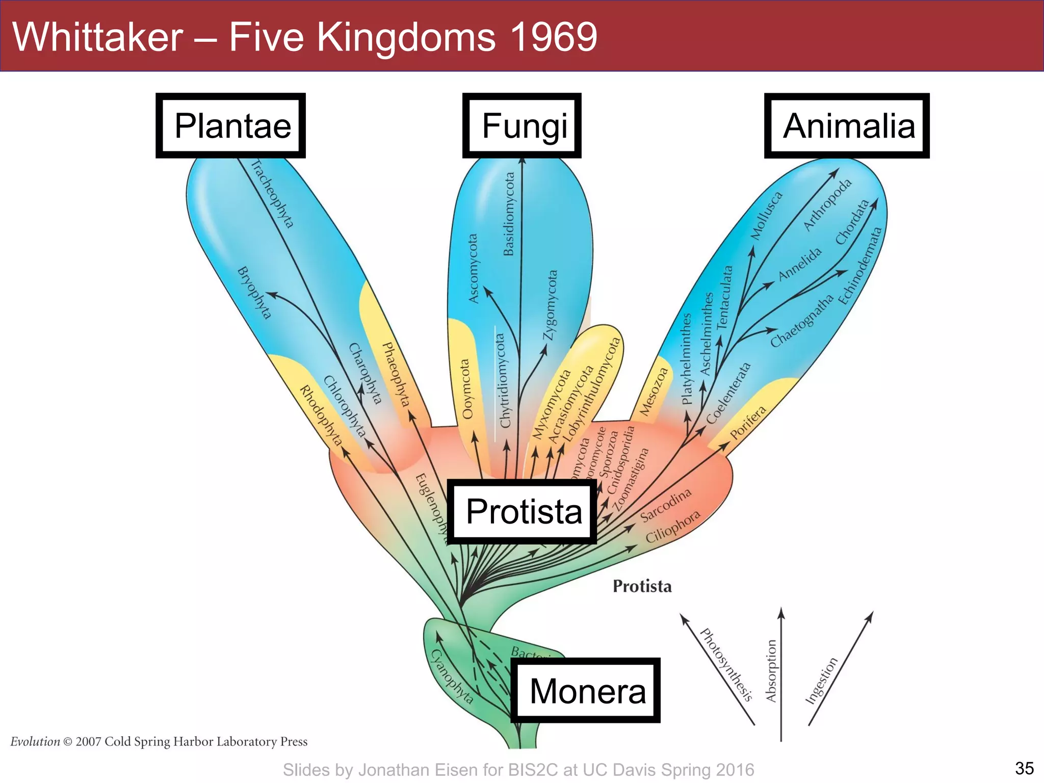 Slides by Jonathan Eisen for BIS2C at UC Davis Spring 2016
Whittaker – Five Kingdoms 1969
35
Plantae Animalia
Protista
Fungi
Monera
 