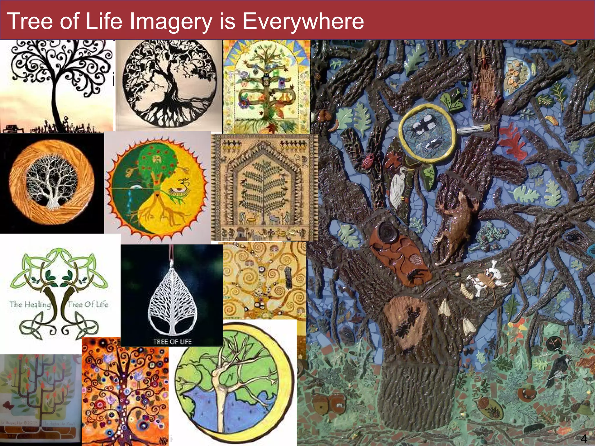 Slides by Jonathan Eisen for BIS2C at UC Davis Spring 2016
• Brad Pitt movie
• Natural food remedies
• Art by the arboretum
• Name of my blog
!4
Tree of Life Imagery is Everywhere
4
 