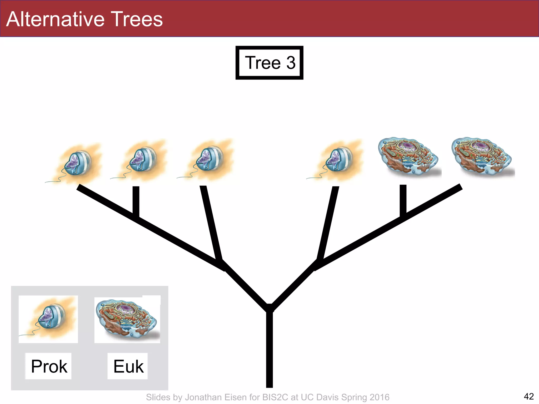 Slides by Jonathan Eisen for BIS2C at UC Davis Spring 2016 42
Tree 3
Alternative Trees
Prok Euk
 