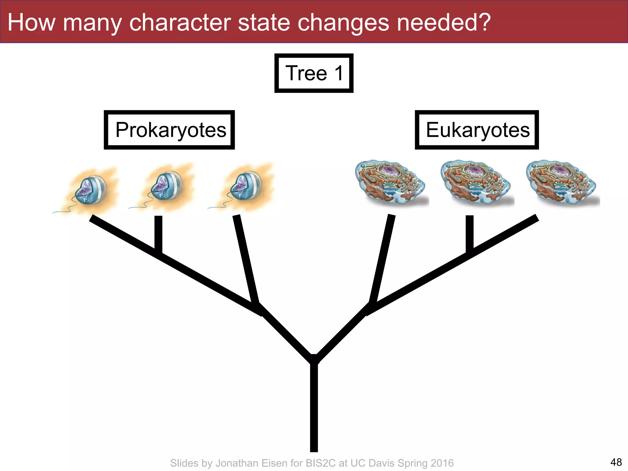 Slides by Jonathan Eisen for BIS2C at UC Davis Spring 2016
How many character state changes needed?
48
EukaryotesProkaryotes
Tree 1
 