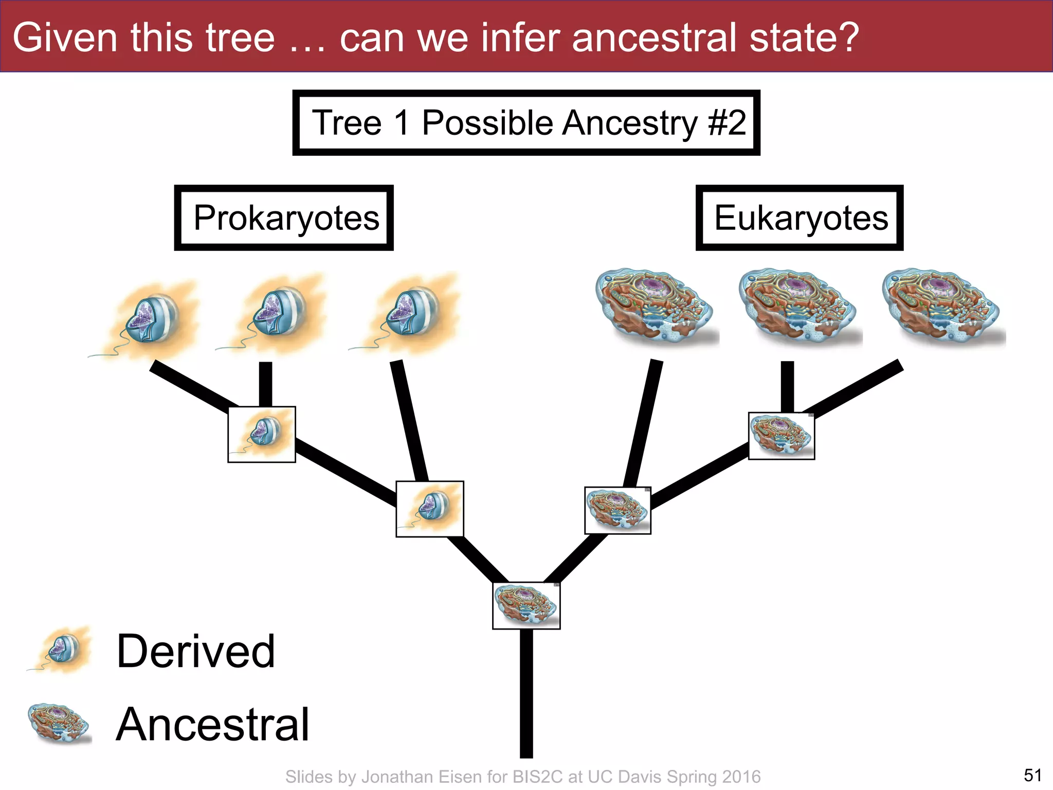 Slides by Jonathan Eisen for BIS2C at UC Davis Spring 2016 51
Eukaryotes
Given this tree … can we infer ancestral state?
Derived
Ancestral
Prokaryotes
Tree 1 Possible Ancestry #2
 