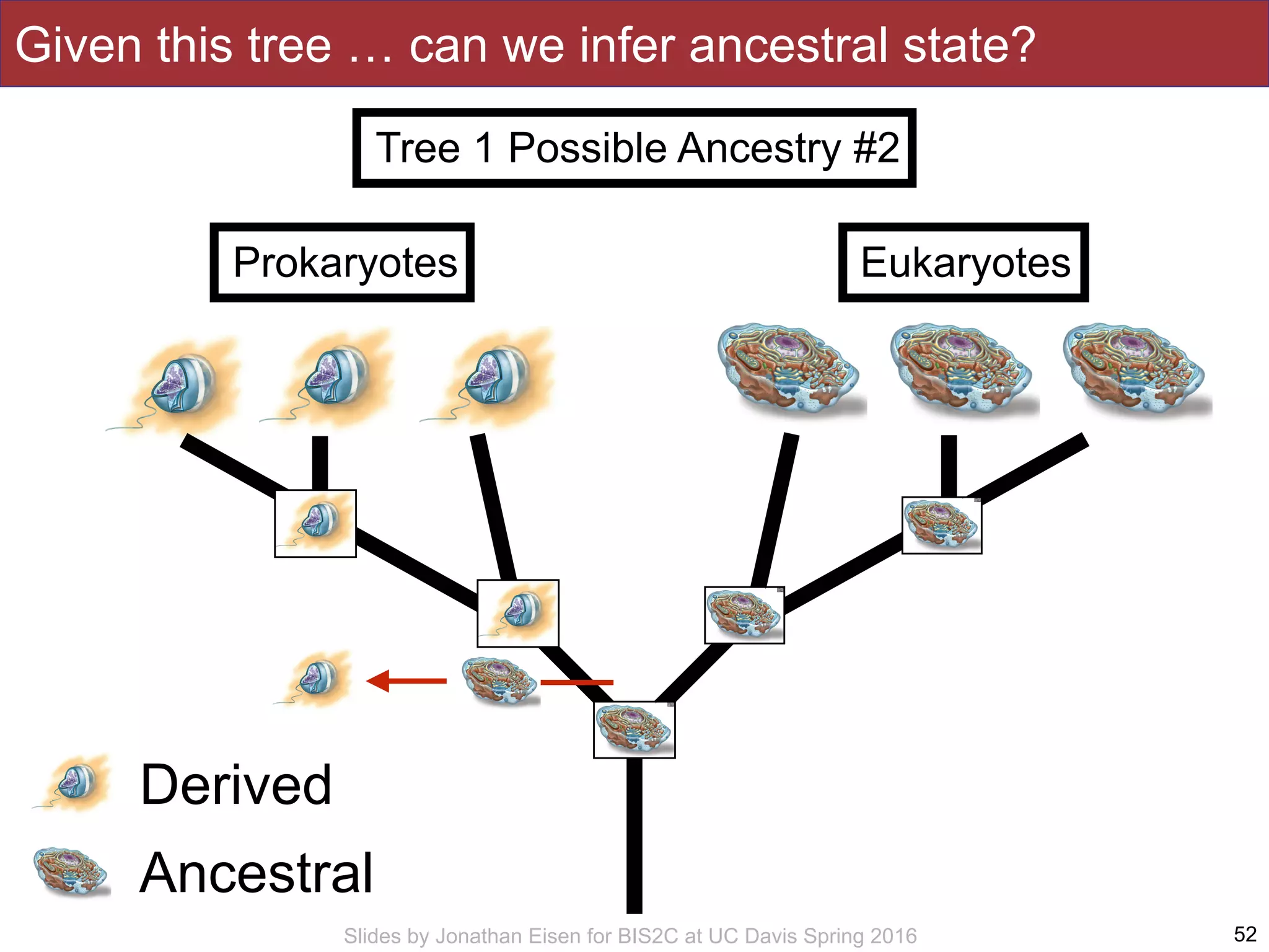 Slides by Jonathan Eisen for BIS2C at UC Davis Spring 2016 52
Eukaryotes
Derived
Ancestral
Given this tree … can we infer ancestral state?
Prokaryotes
Tree 1 Possible Ancestry #2
 