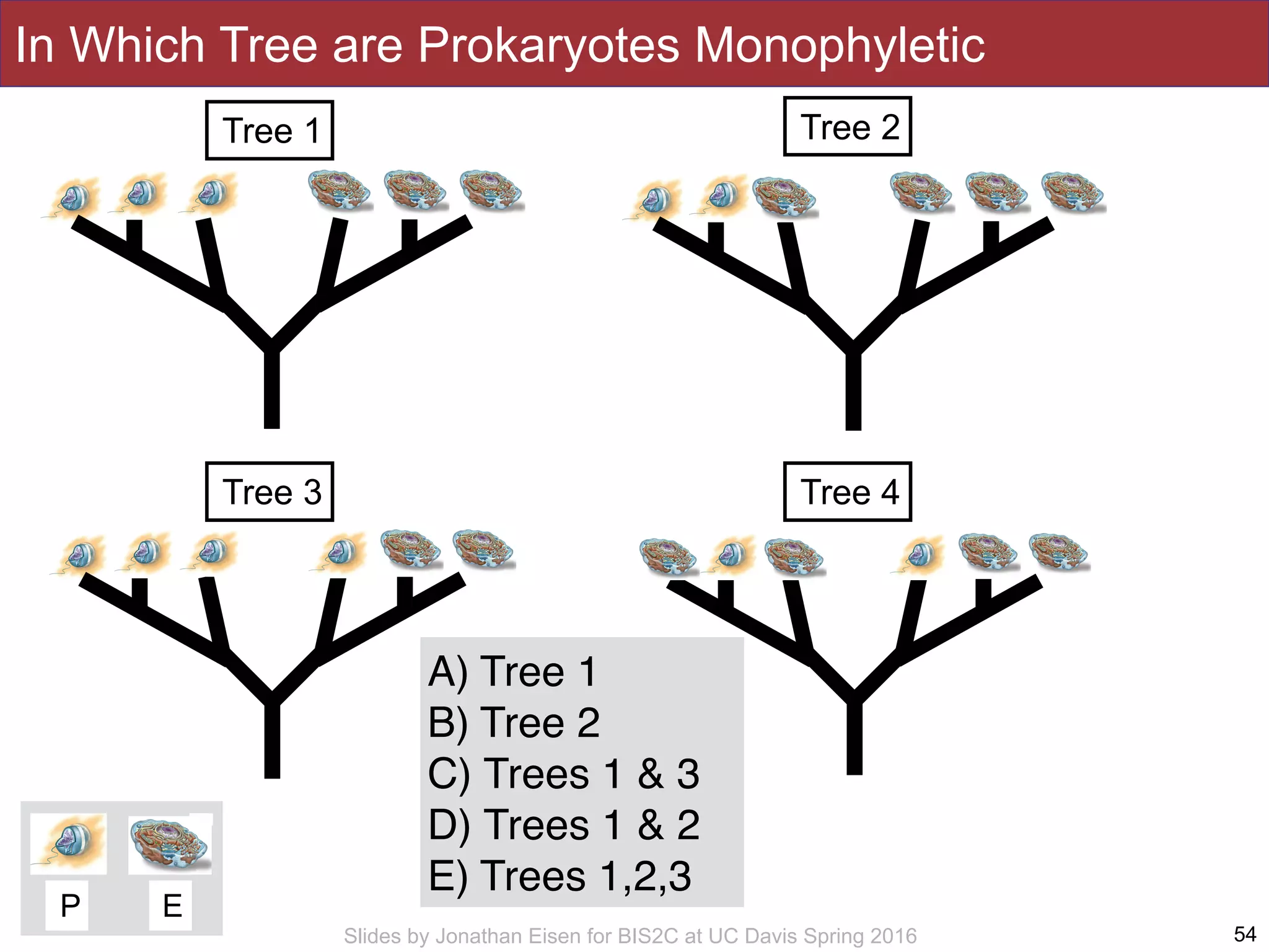 Slides by Jonathan Eisen for BIS2C at UC Davis Spring 2016
In Which Tree are Prokaryotes Monophyletic
54
Tree 1 Tree 2
Tree 3 Tree 4
P E
A) Tree 1
B) Tree 2
C) Trees 1 & 3
D) Trees 1 & 2
E) Trees 1,2,3
 