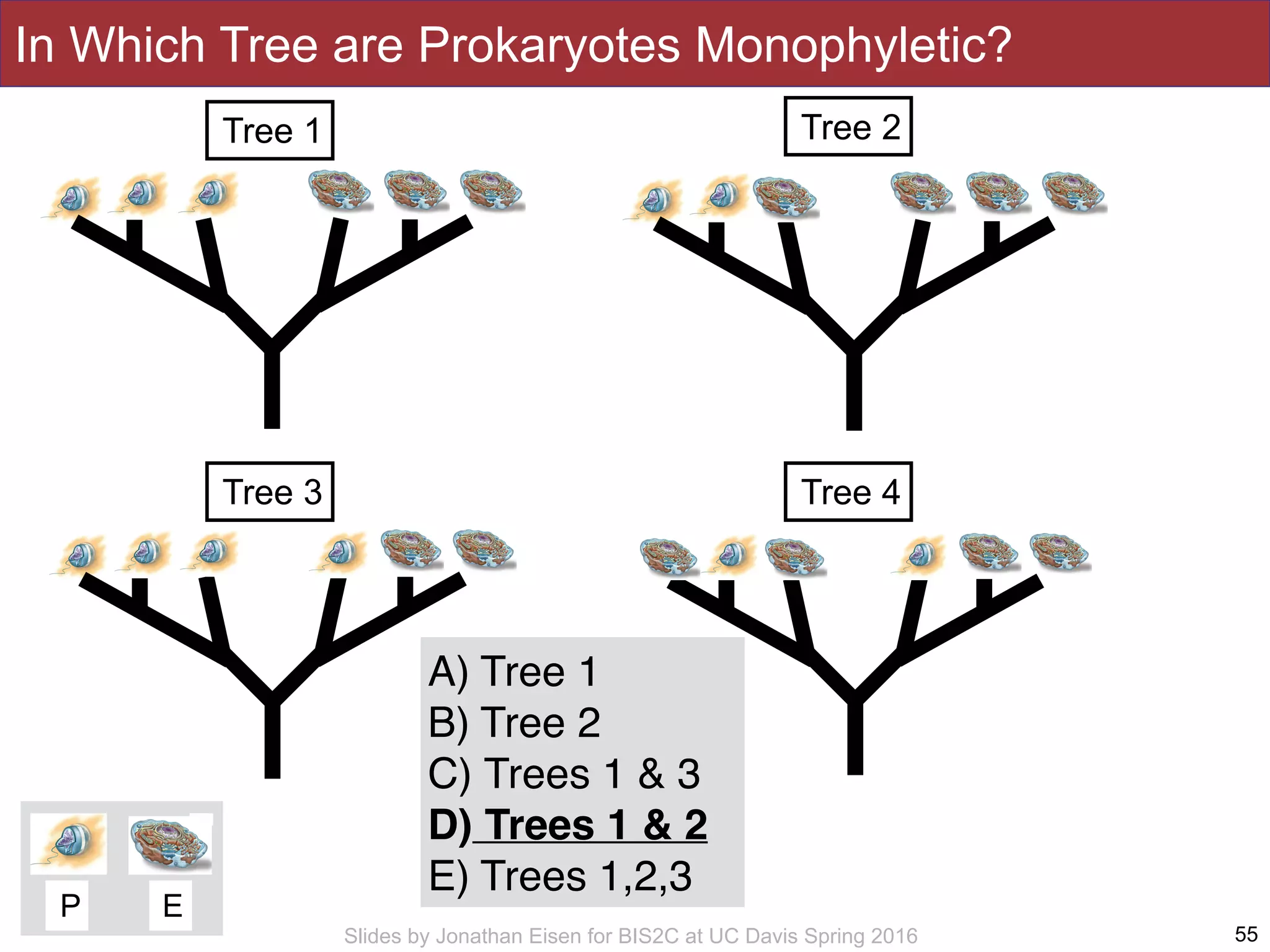 Slides by Jonathan Eisen for BIS2C at UC Davis Spring 2016
In Which Tree are Prokaryotes Monophyletic?
55
Tree 1 Tree 2
Tree 3 Tree 4
P E
A) Tree 1
B) Tree 2
C) Trees 1 & 3
D) Trees 1 & 2
E) Trees 1,2,3
 