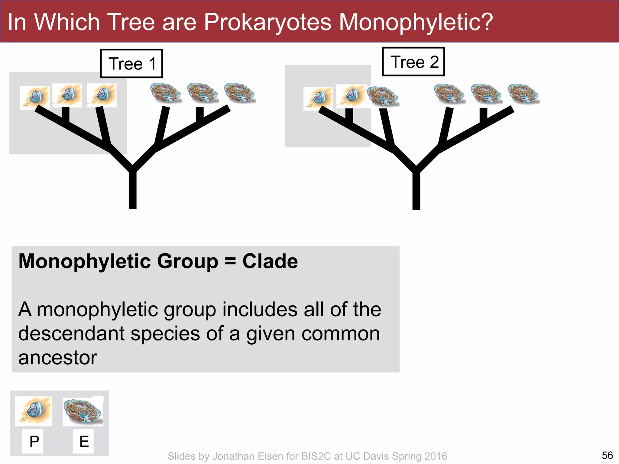 Slides by Jonathan Eisen for BIS2C at UC Davis Spring 2016
In Which Tree are Prokaryotes Monophyletic?
56
Tree 1 Tree 2
P E
Monophyletic Group = Clade
A monophyletic group includes all of the
descendant species of a given common
ancestor
 
