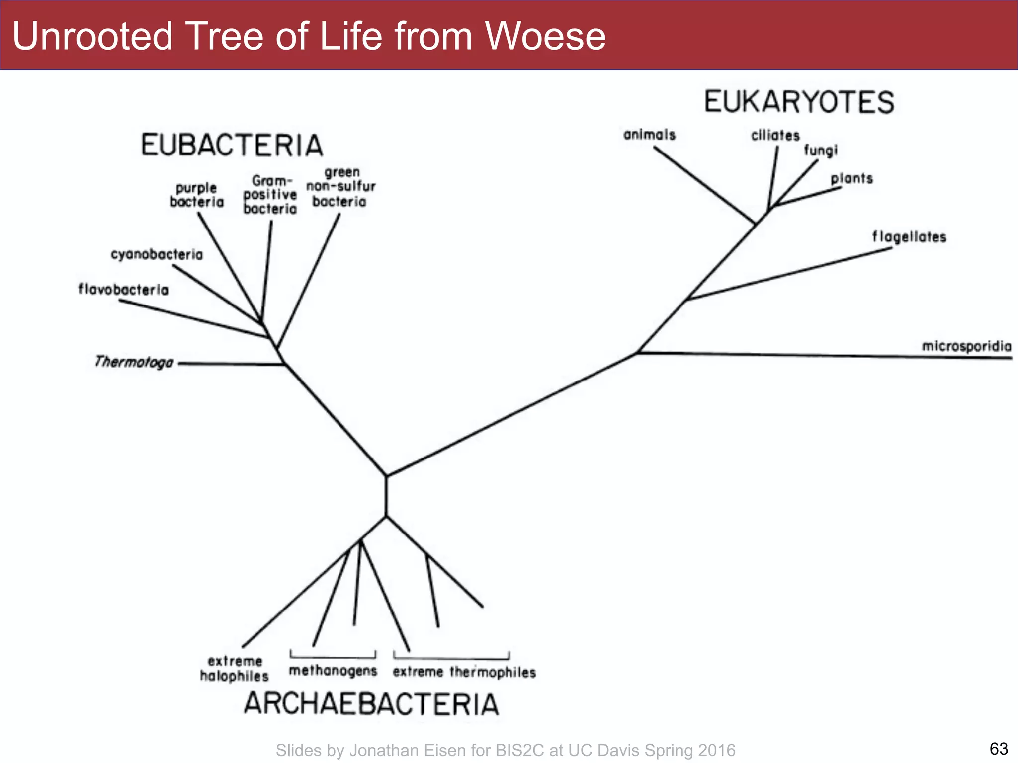 Slides by Jonathan Eisen for BIS2C at UC Davis Spring 2016
Unrooted Tree of Life from Woese
63
 