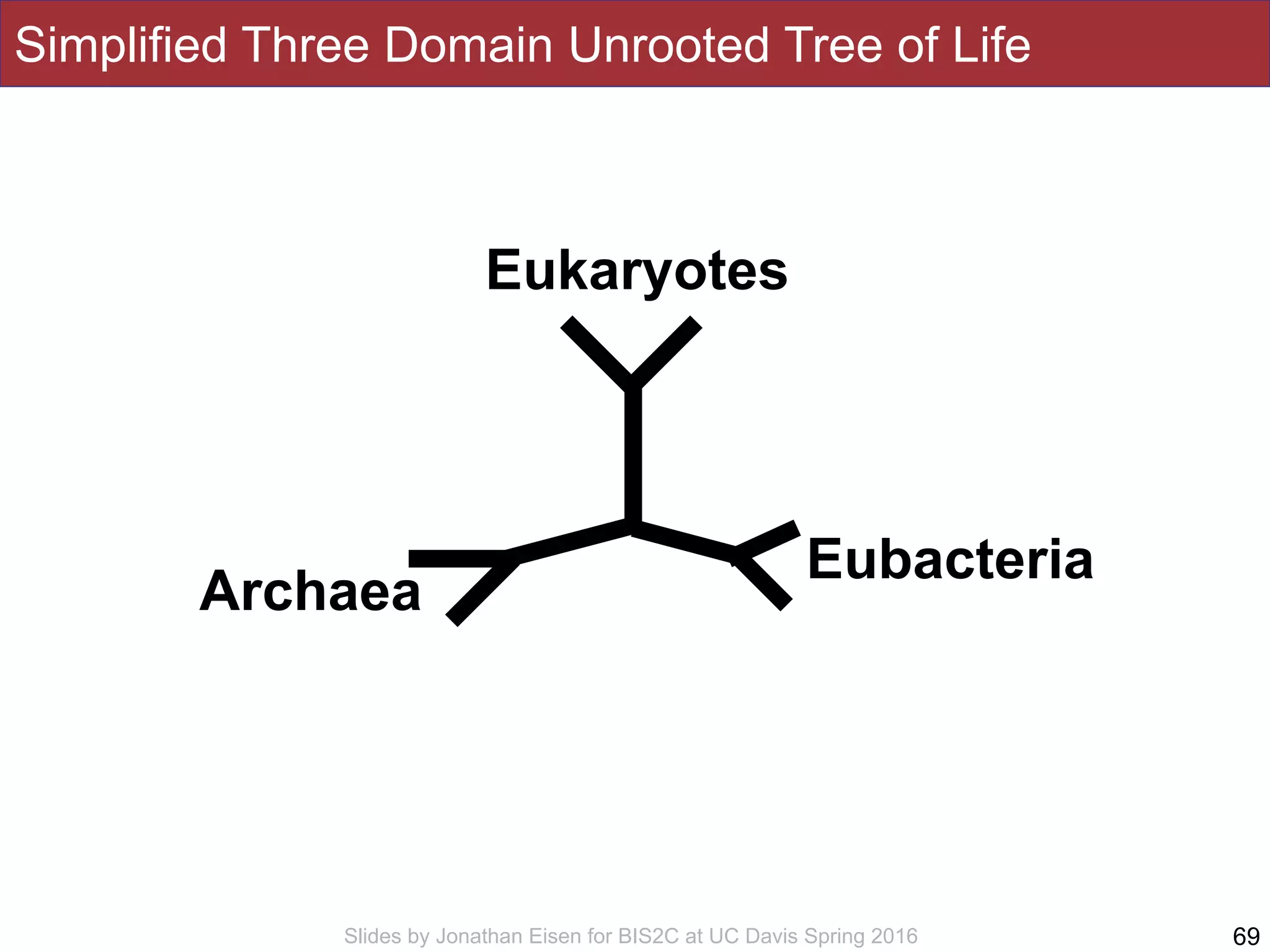 Slides by Jonathan Eisen for BIS2C at UC Davis Spring 2016
Simplified Three Domain Unrooted Tree of Life
69
Eukaryotes
Archaea
Eubacteria
 
