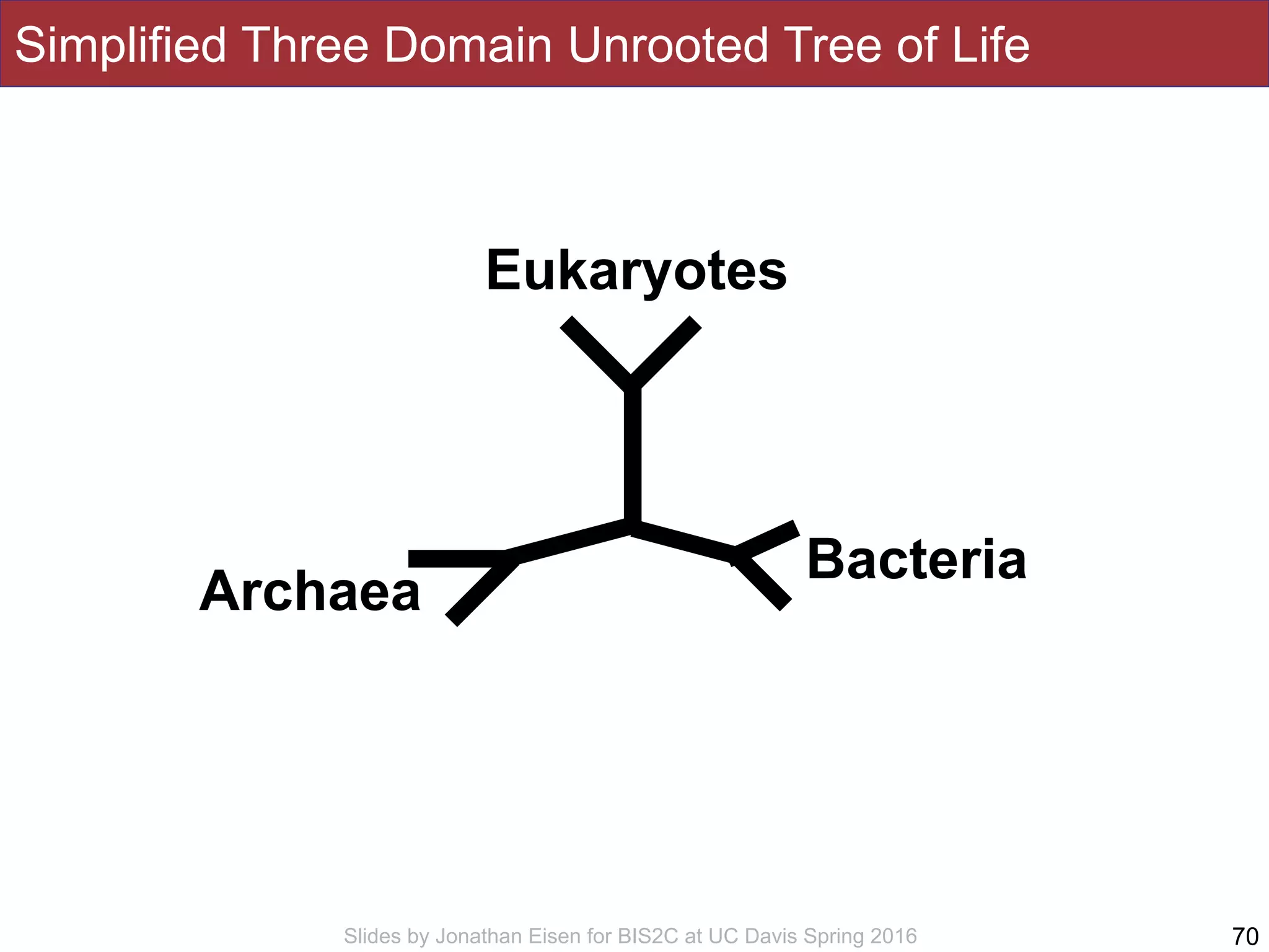 Slides by Jonathan Eisen for BIS2C at UC Davis Spring 2016
Simplified Three Domain Unrooted Tree of Life
70
Eukaryotes
Archaea
Bacteria
 
