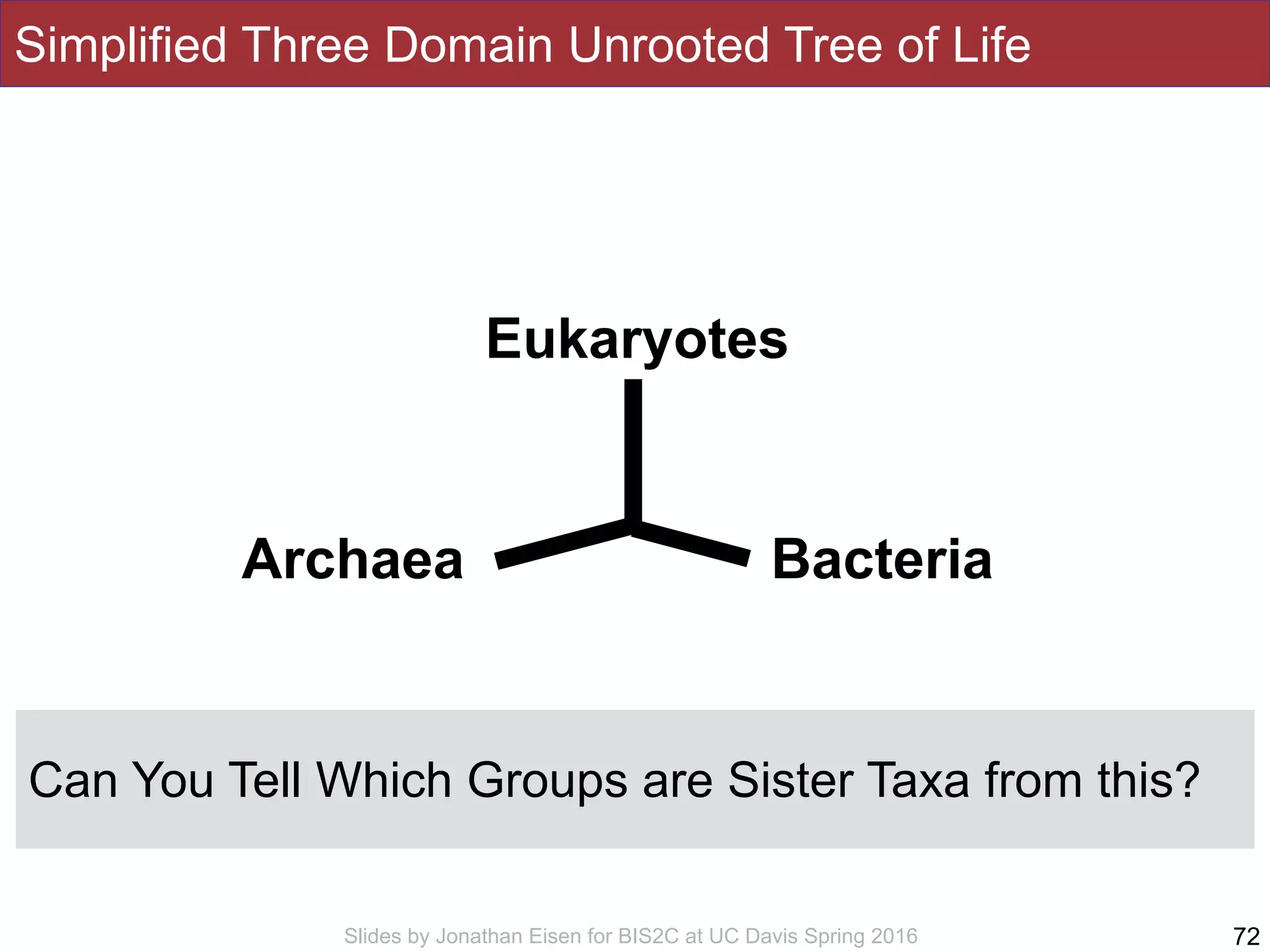 Slides by Jonathan Eisen for BIS2C at UC Davis Spring 2016
Simplified Three Domain Unrooted Tree of Life
72
Eukaryotes
Archaea Bacteria
Can You Tell Which Groups are Sister Taxa from this?
 