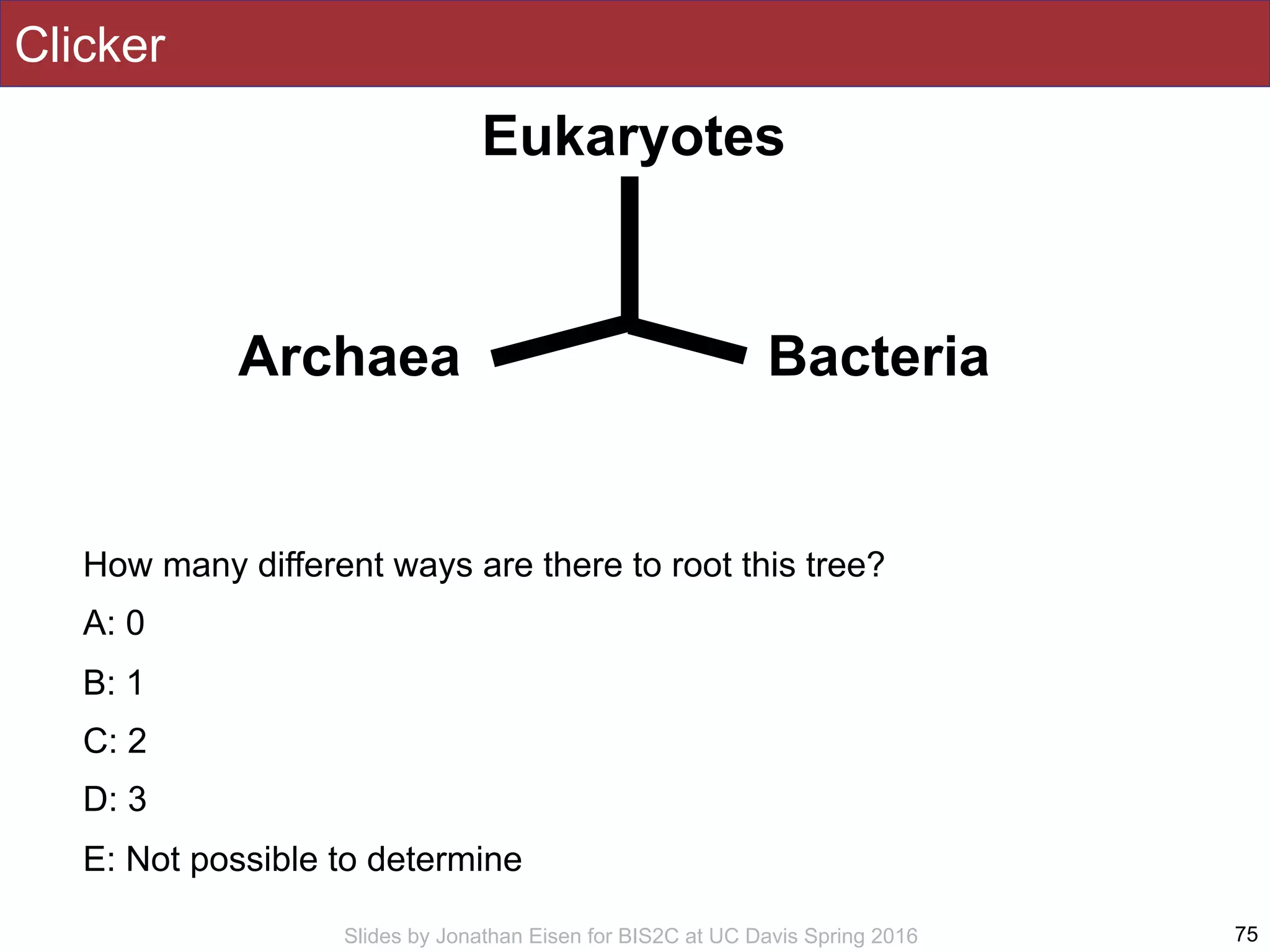 Slides by Jonathan Eisen for BIS2C at UC Davis Spring 2016
Clicker
How many different ways are there to root this tree?
A: 0
B: 1
C: 2
D: 3
E: Not possible to determine
75
Eukaryotes
Archaea Bacteria
 