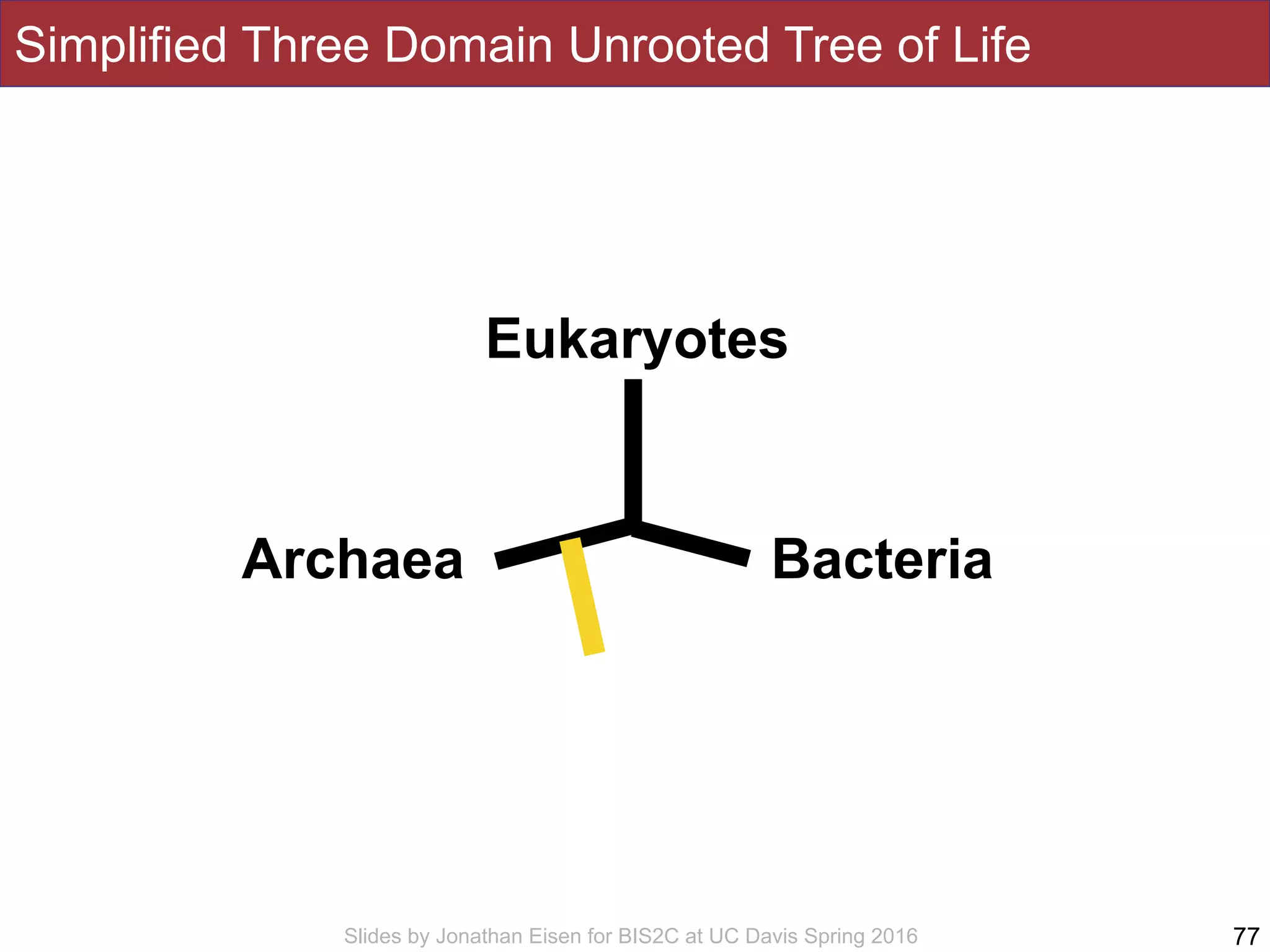 Slides by Jonathan Eisen for BIS2C at UC Davis Spring 2016
Simplified Three Domain Unrooted Tree of Life
77
Eukaryotes
Archaea Bacteria
 