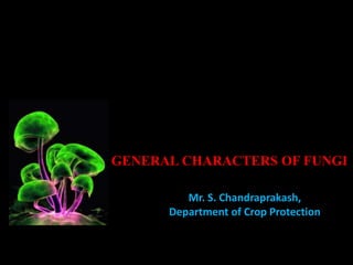 Mr. S. Chandraprakash,
Department of Crop Protection
GENERAL CHARACTERS OF FUNGI
 