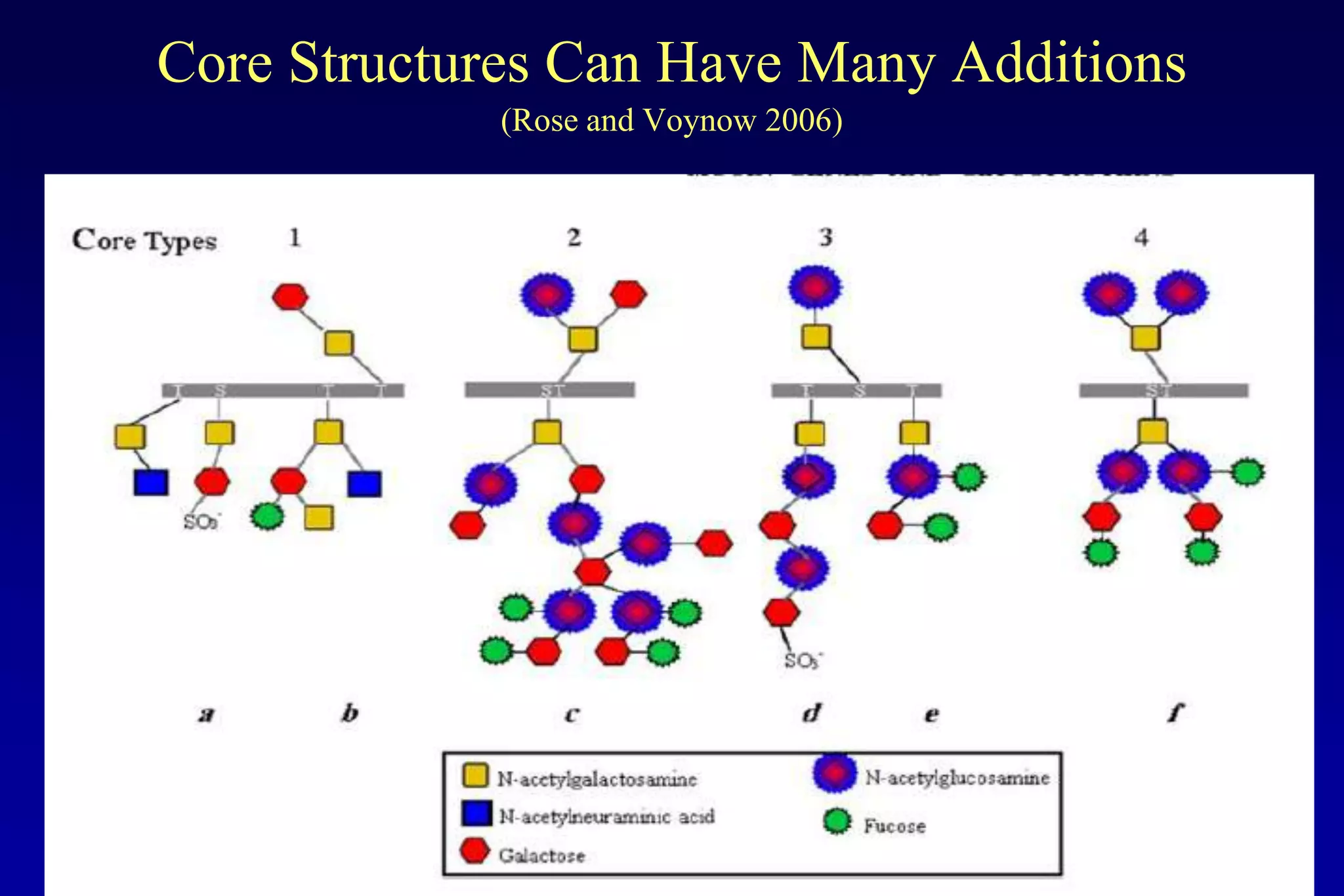 Core Structures Can Have Many Additions
             (Rose and Voynow 2006)
 