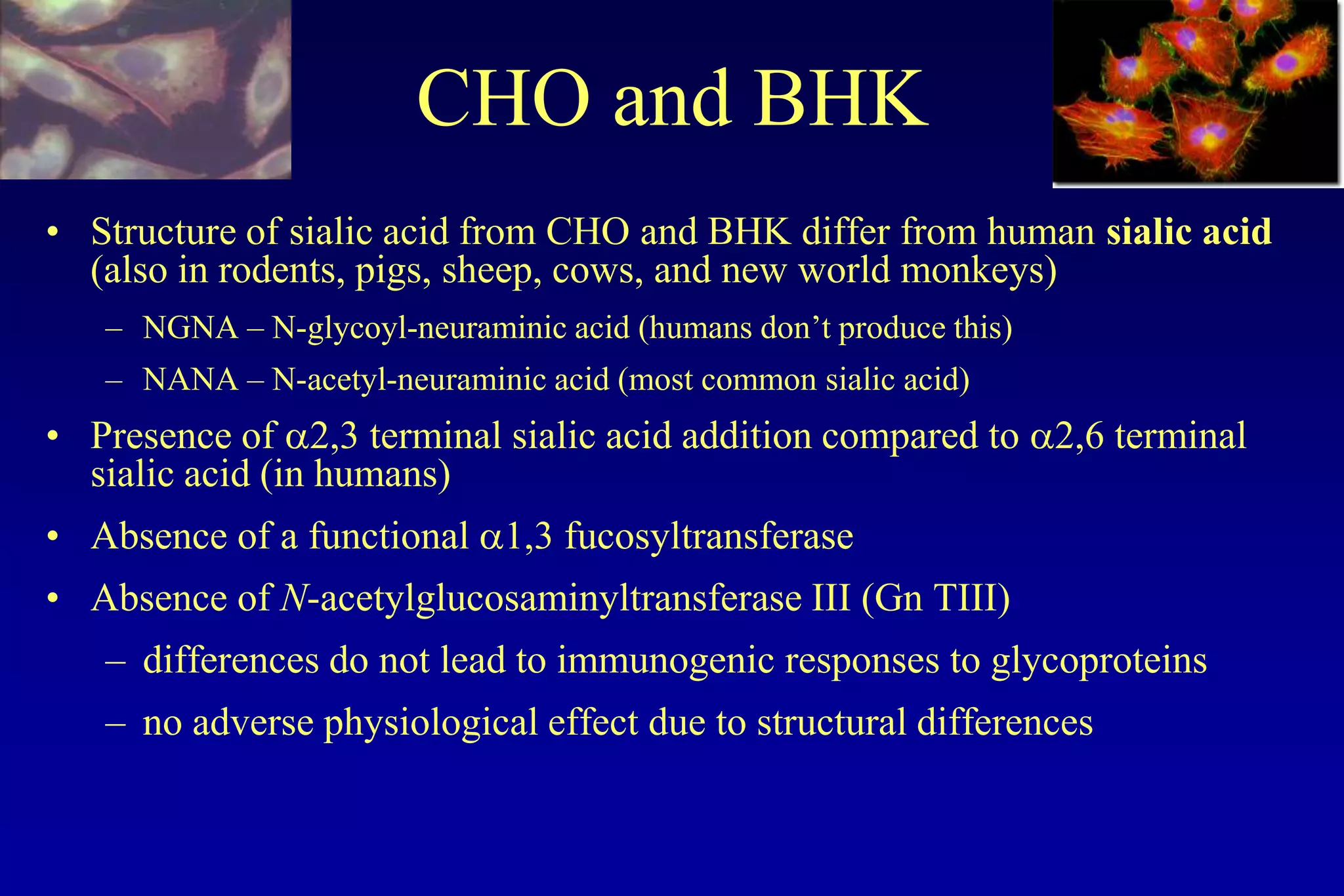 CHO and BHK
• Structure of sialic acid from CHO and BHK differ from human sialic acid
  (also in rodents, pigs, sheep, cows, and new world monkeys)
   – NGNA – N-glycoyl-neuraminic acid (humans don’t produce this)
   – NANA – N-acetyl-neuraminic acid (most common sialic acid)
• Presence of a2,3 terminal sialic acid addition compared to a2,6 terminal
  sialic acid (in humans)
• Absence of a functional a1,3 fucosyltransferase
• Absence of N-acetylglucosaminyltransferase III (Gn TIII)
   – differences do not lead to immunogenic responses to glycoproteins
   – no adverse physiological effect due to structural differences
 