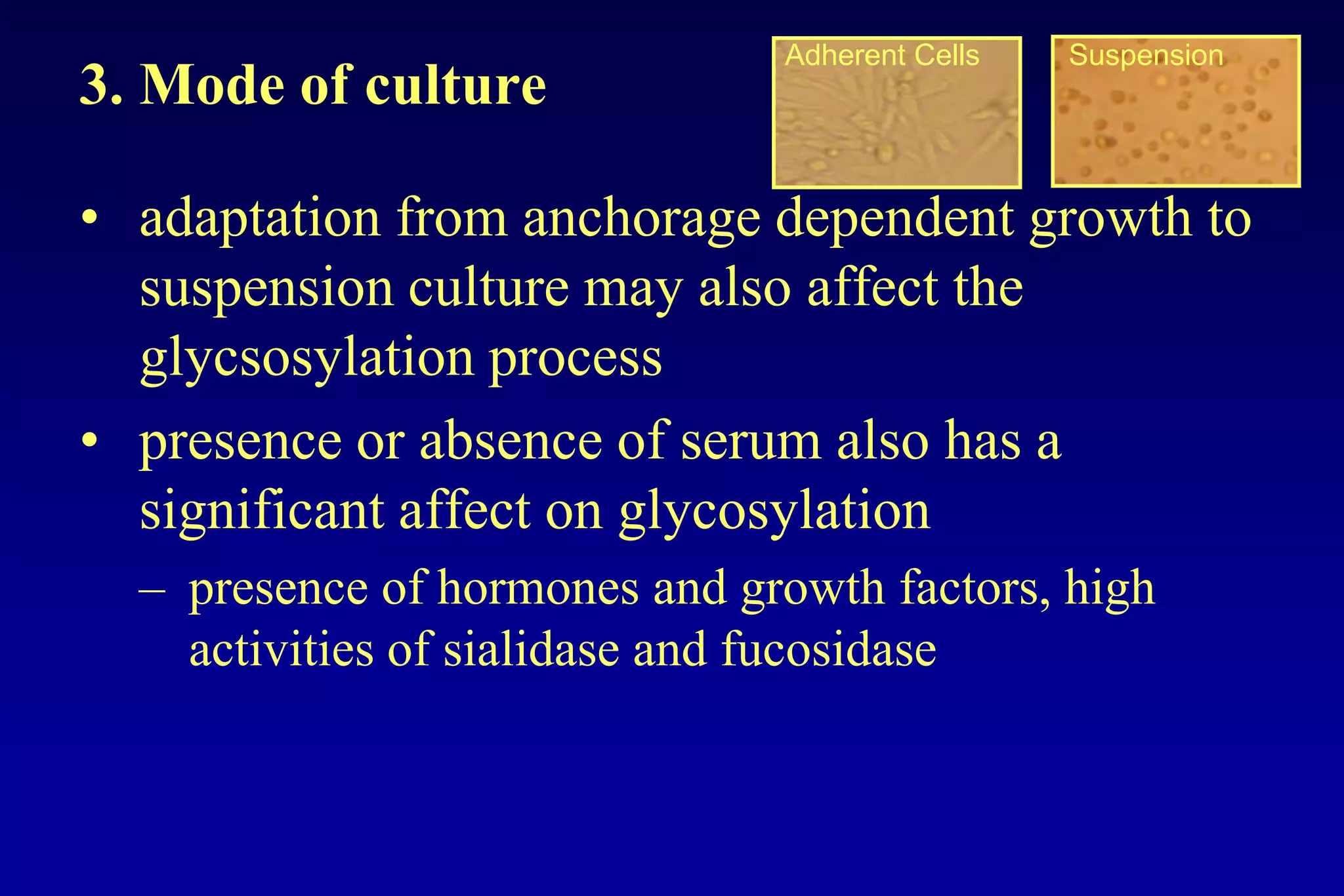 Adherent Cells   Suspension
3. Mode of culture

• adaptation from anchorage dependent growth to
  suspension culture may also affect the
  glycsosylation process
• presence or absence of serum also has a
  significant affect on glycosylation
  – presence of hormones and growth factors, high
    activities of sialidase and fucosidase
 