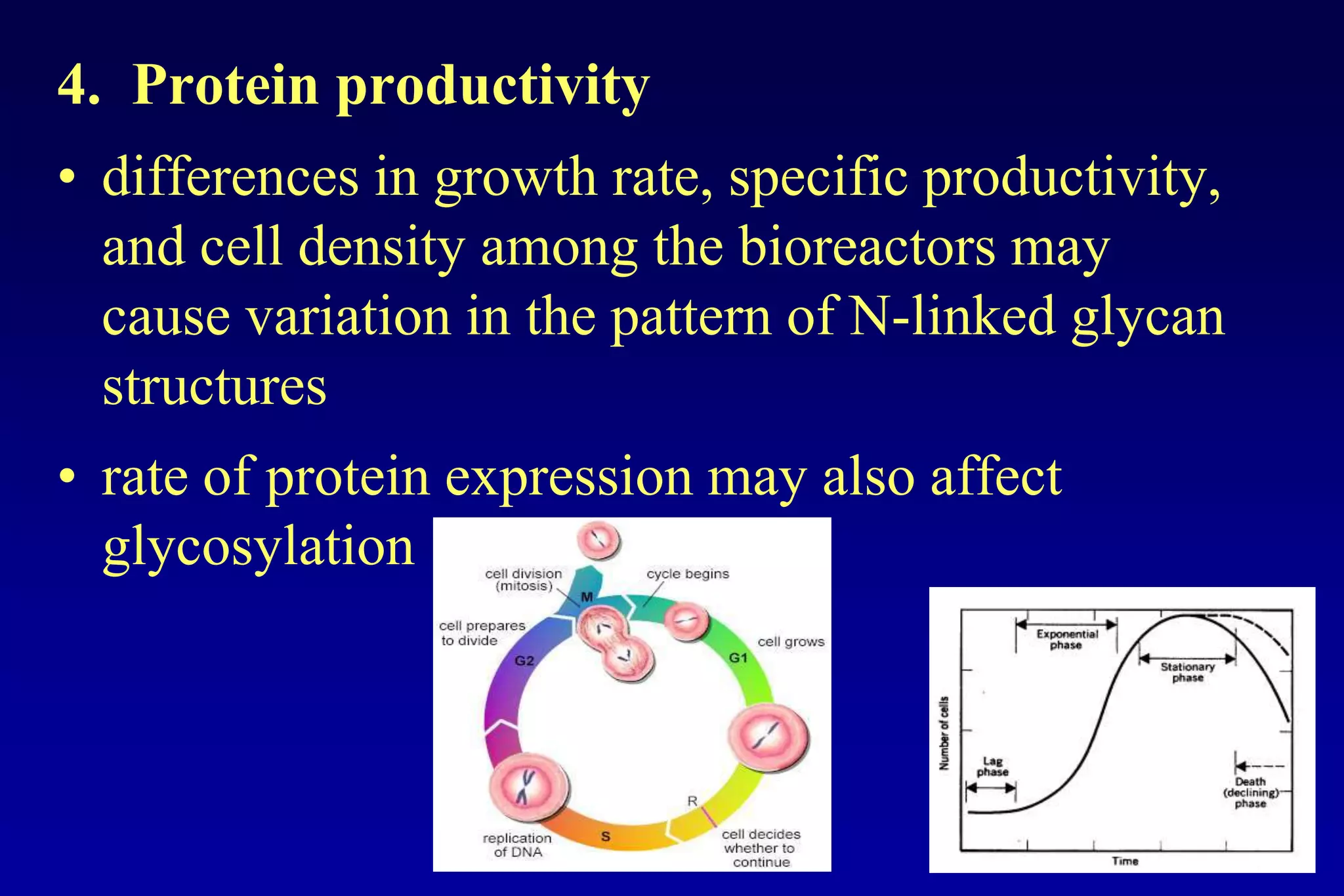 4. Protein productivity
• differences in growth rate, specific productivity,
  and cell density among the bioreactors may
  cause variation in the pattern of N-linked glycan
  structures
• rate of protein expression may also affect
  glycosylation
 