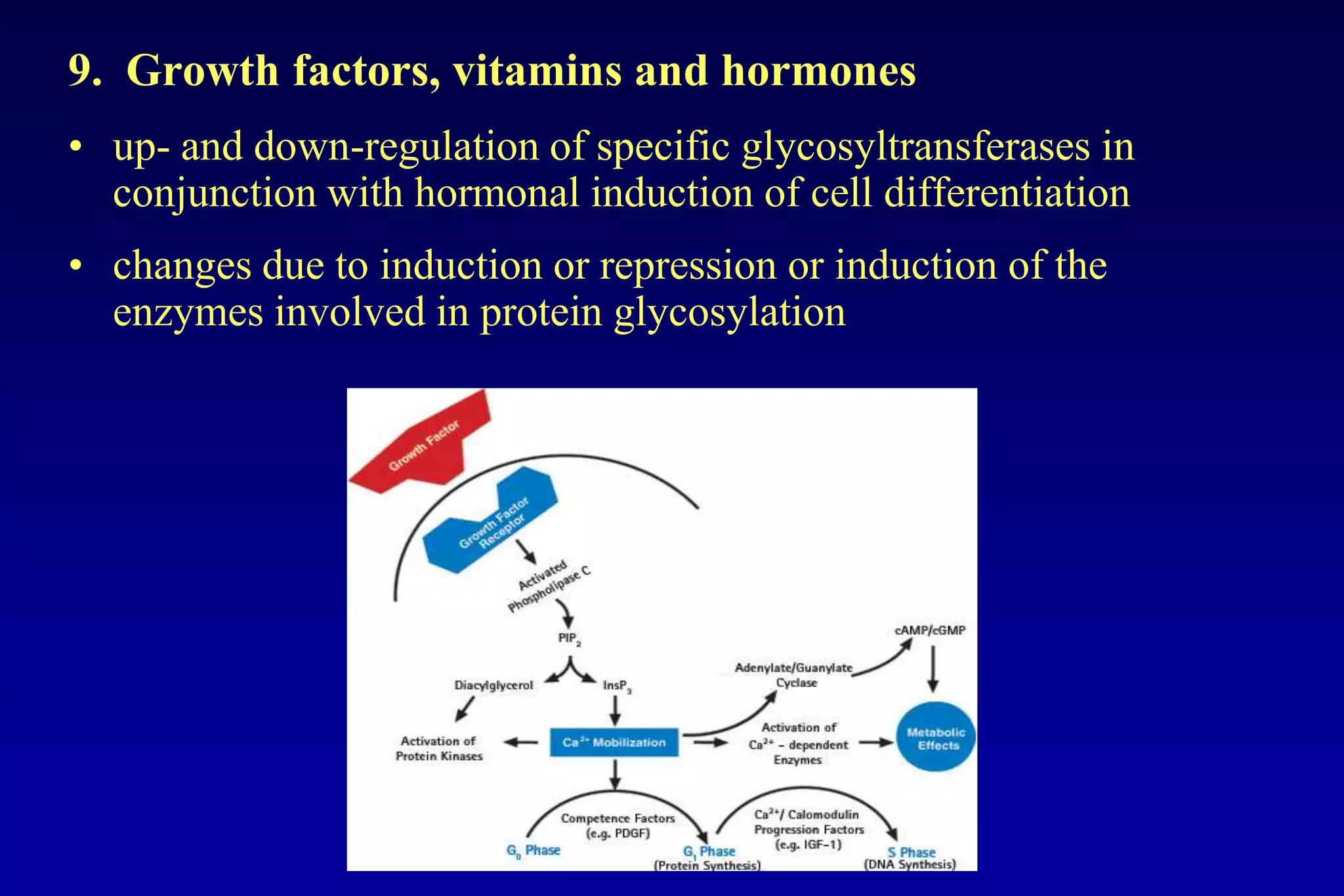9. Growth factors, vitamins and hormones
• up- and down-regulation of specific glycosyltransferases in
  conjunction with hormonal induction of cell differentiation
• changes due to induction or repression or induction of the
  enzymes involved in protein glycosylation
 