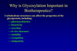Lecture 7 glycosylation in cell culture | PPTX