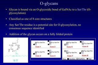 Lecture 7 glycosylation in cell culture | PPTX