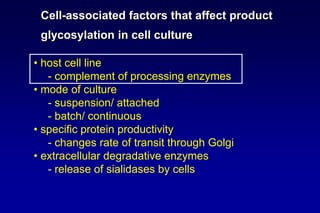 Lecture 7 glycosylation in cell culture | PPTX