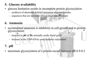 Lecture 7 glycosylation in cell culture | PPTX