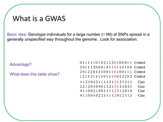 What is a GWAS
Basic idea: Genotype individuals for a large number (~1M) of SNPs spread in a
generally unspecified way throughout the genome. Look for association.
Advantage?
What does this table show?
 