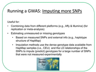 Running a GWAS: Imputing more SNPs
Useful for:
• Combining data from different platforms (e.g., Affy & Illumina) (for
replication or meta-analysis)
• Estimating unmeasured or missing genotypes
• Based on measured SNPs and external info (e.g., haplotype
structure of HapMap)
• Imputation methods use the dense genotype data available from
HapMap samples (i.e., CEU) and the LD relationships of the
SNPs to impute (predict) genotypes for a large number of SNPs
that were not measured experimentally
 