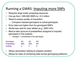 Running a GWAS: Imputing more SNPs
• Requires large scale computing resources
• Can go from ~500,000 SNPs to ~2.2 million
• Need to assess quality of imputation
– Compare imputed genotypes to actual genotypes
• Error rates are higher than for genotyped SNPs
• Works less well for rarer alleles (e.g., MAF<3%)
• Best to take account of probabilities assigned to imputed
genotypes in the analysis
– “dosages” = probabilities of the genotypes
• Allows association testing of untyped variation
• Allows for ease of combining data across genotyping platforms
Genotype: AA AG GG
Probability: 80% 20% 0%
Coding: 2 1 0
 