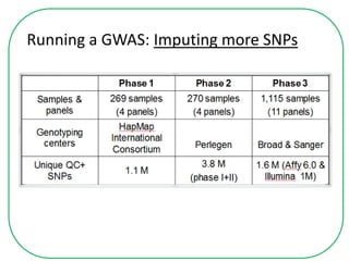 Running a GWAS: Imputing more SNPs
 