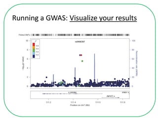 Running a GWAS: Visualize your results
 