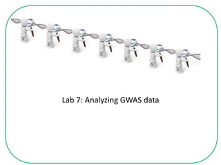 Lab 7: Analyzing GWAS data
 