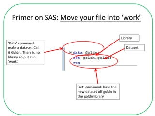 Primer on SAS: Move your file into ‘work’
‘Data’ command:
make a dataset. Call
it Goldn. There is no
library so put it in
‘work’.
‘set’ command: base the
new dataset off goldn in
the goldn library
Library
Dataset
 