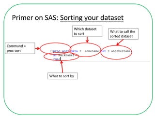 Primer on SAS: Sorting your dataset
Command =
proc sort
Which dataset
to sort
What to call the
sorted dataset
What to sort by
 