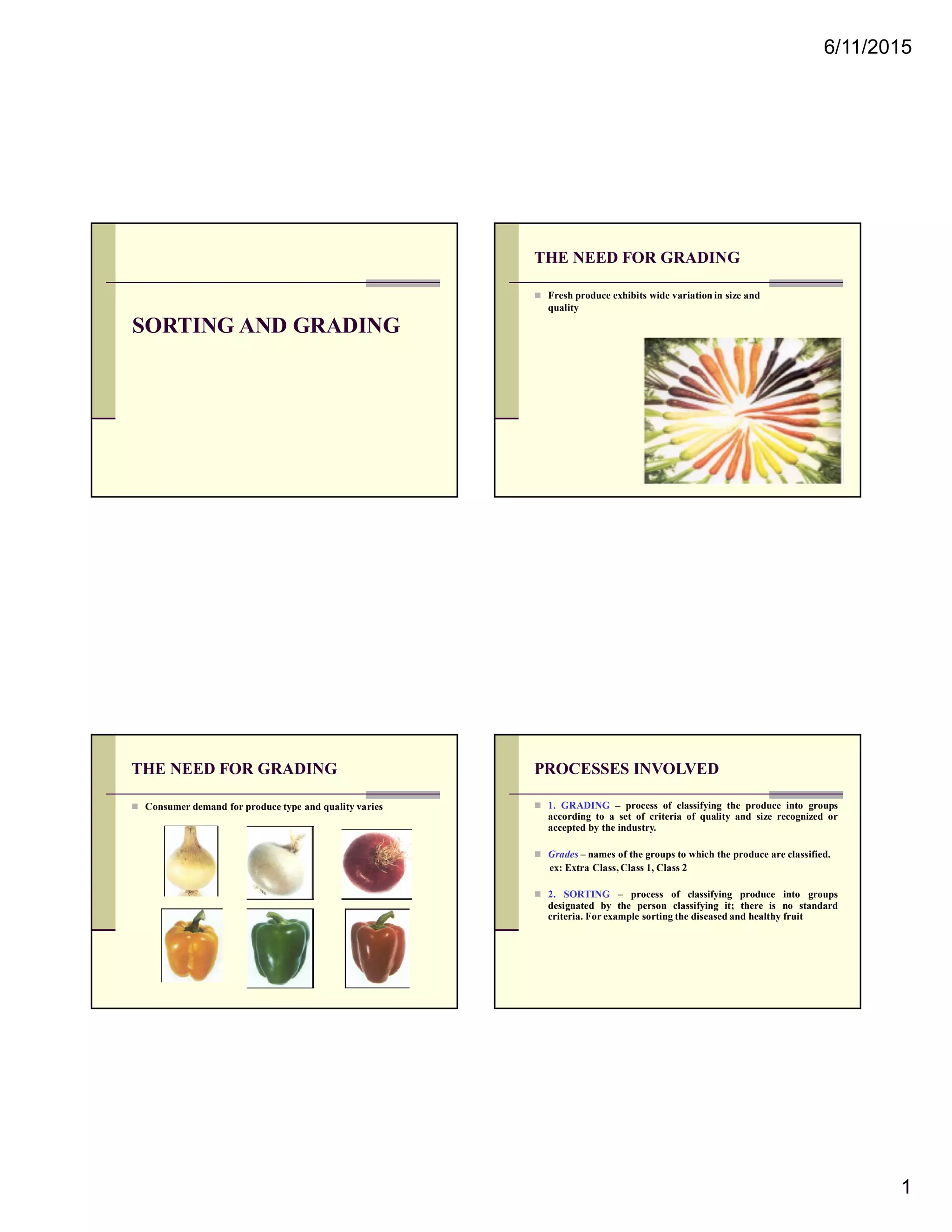 Sorting and Grading | PDF