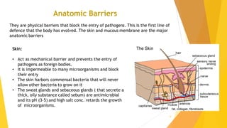 Comprehensive Overview of the Body's Defense Mechanisms and Immunity ...