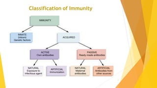 Comprehensive Overview of the Body's Defense Mechanisms and Immunity ...