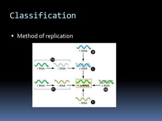 Classification Method of replication