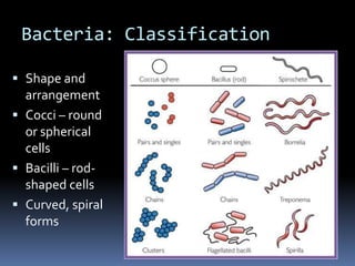 Bacteria: ClassificationOther classificationmetabolic and physiologic differences, as measured by the presence or absence of specific enzymes these identify bacteria that are able to use particular nutrients for growth, or metabolize particular substratesGenetic methods